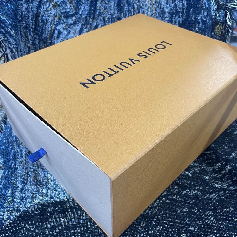 Louis Vuitton Louis Vuitton Skate Low-top Fashion Sneakers -2508 Size US 8 / EU 41 - 6 Thumbnail