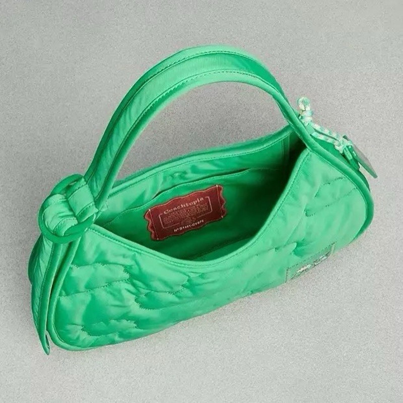 Coach NWT Coach CV875 Coachtopia Loop Ergo Bag Cloud Kelp Purse Size ONE SIZE - 7 Thumbnail