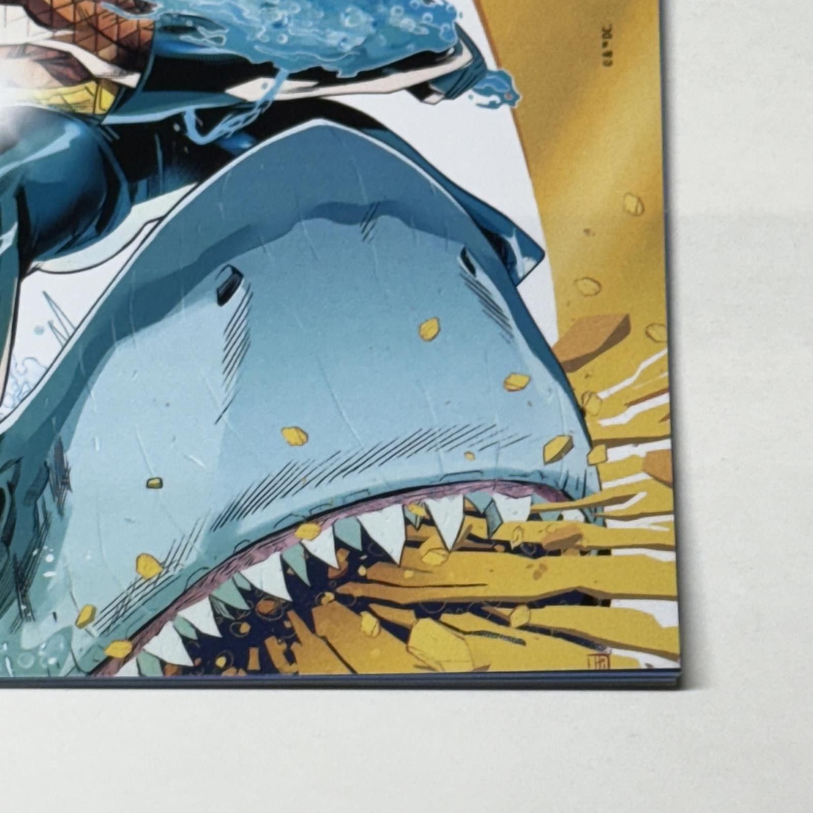 DC Comics DC Connect #54: Aquaman Returns Promo - November 2024 NM+ Size ONE SIZE - 4 Thumbnail