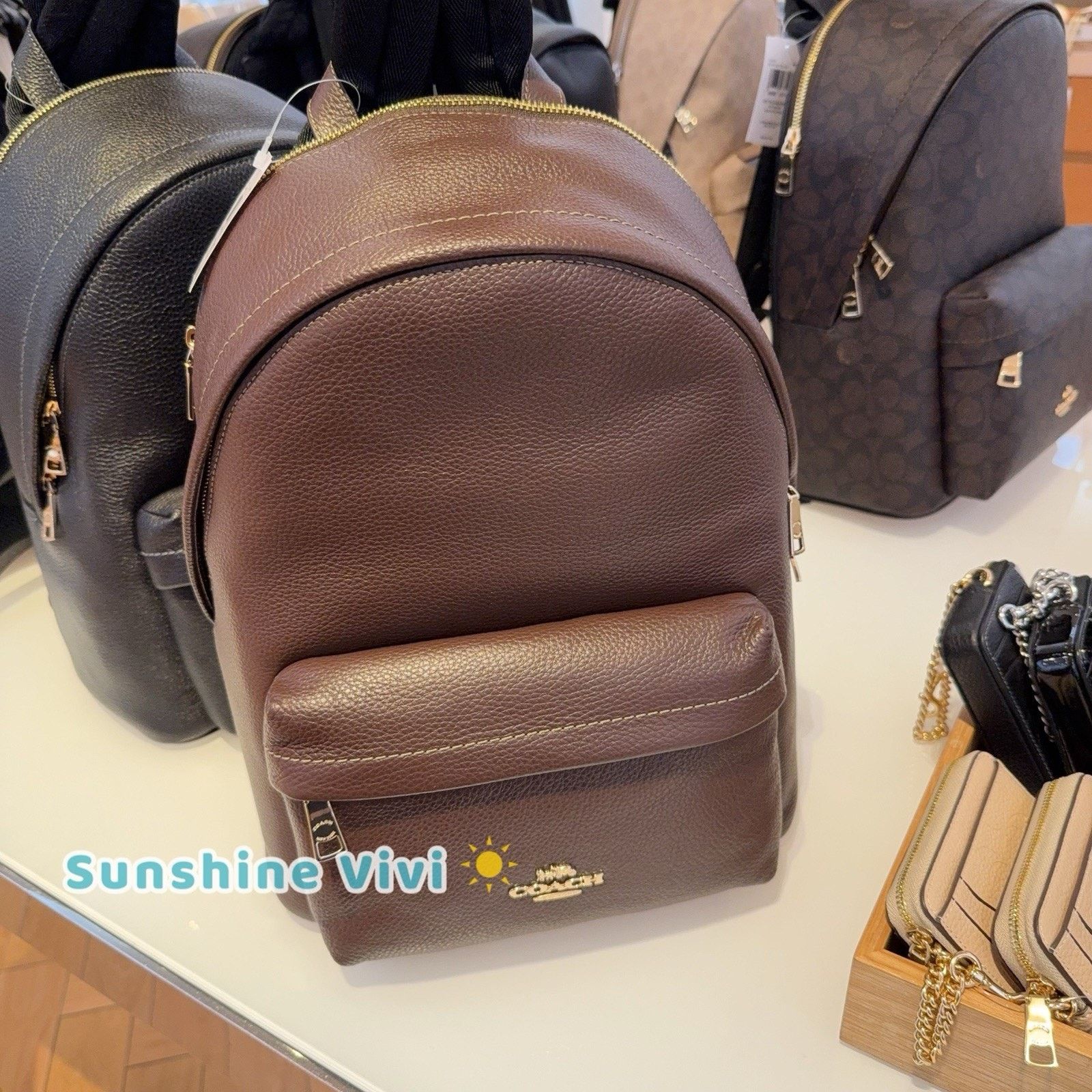 Coach NWT Coach Taylor Small Backpack In Leather CDW78 Gold/Maple Size ONE SIZE - 4 Thumbnail
