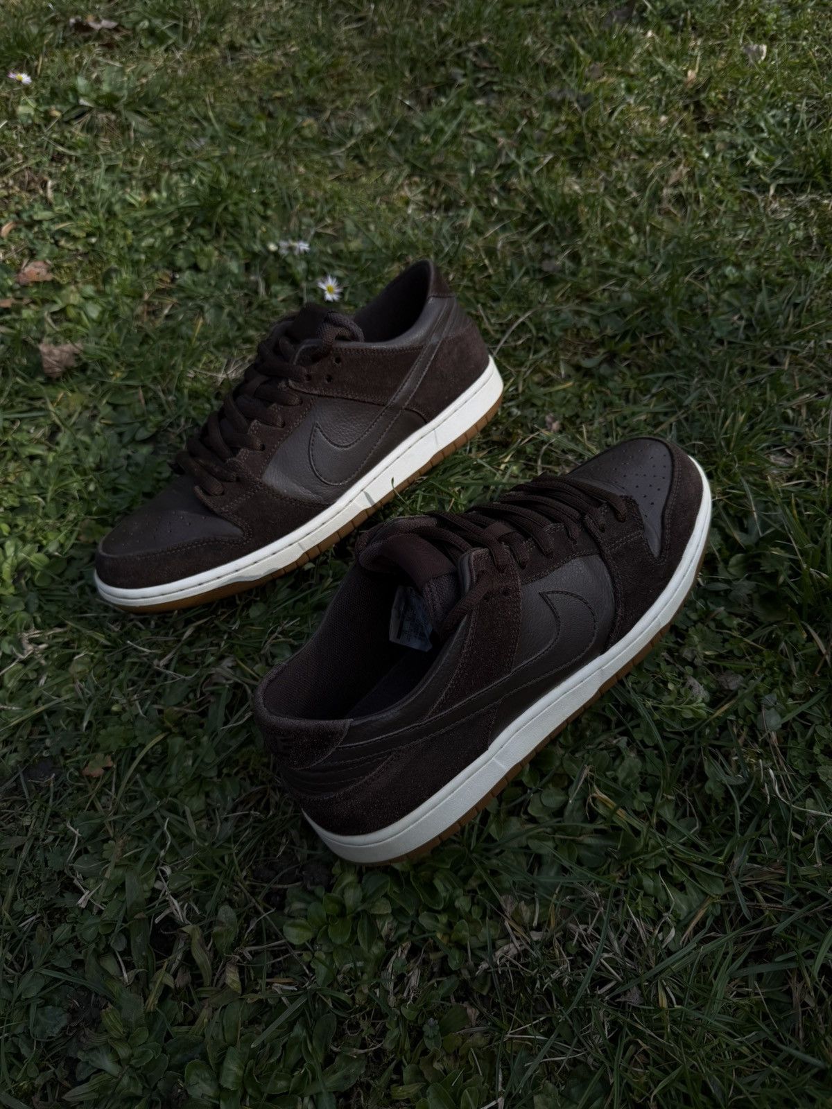 Nike Nike SB Dunk Low Pro 'Baroque Brown Ishod Wair' Size US 12 / EU 45 - 4 Thumbnail