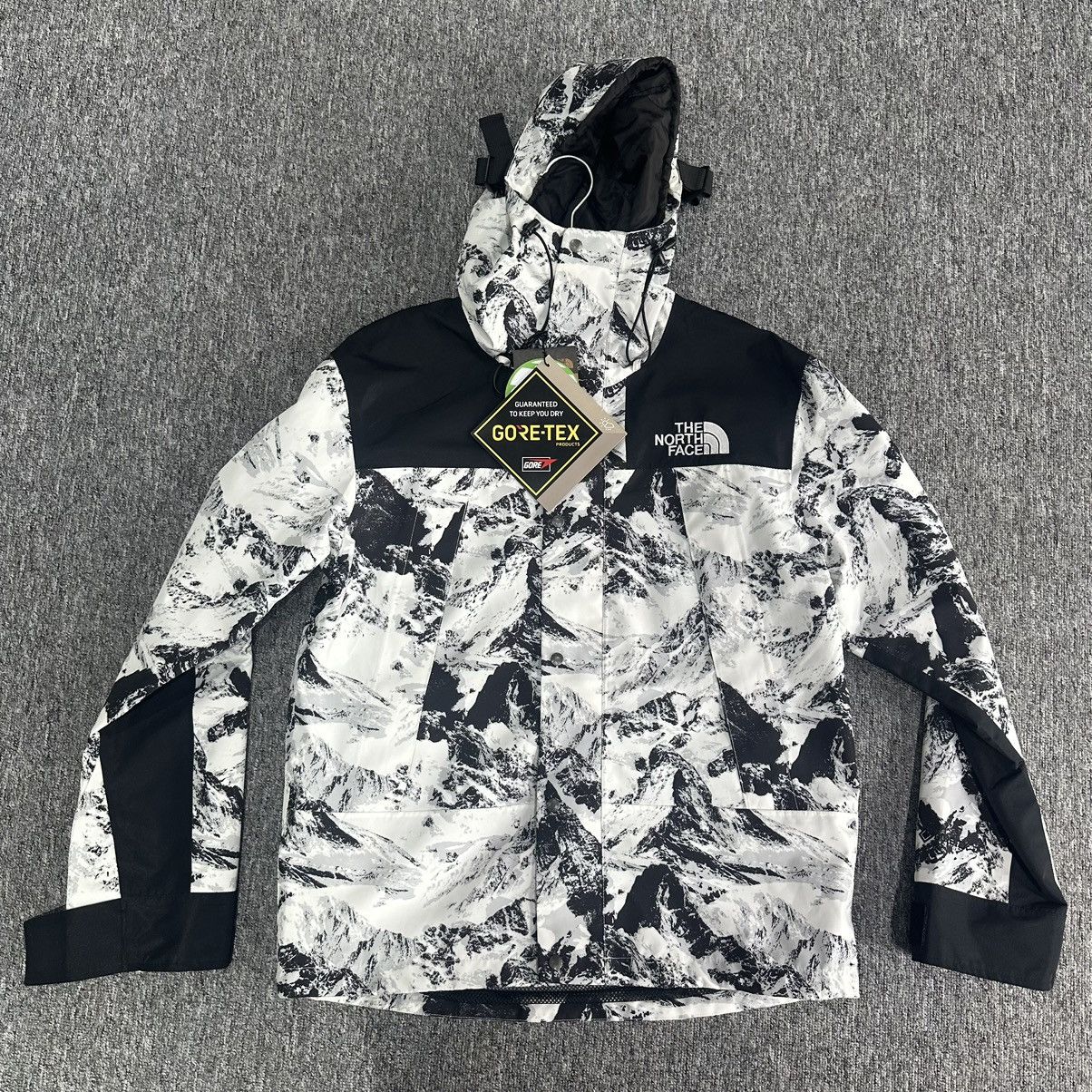 The North Face The North Face Novelty GTX Mountain Jacket | Grailed