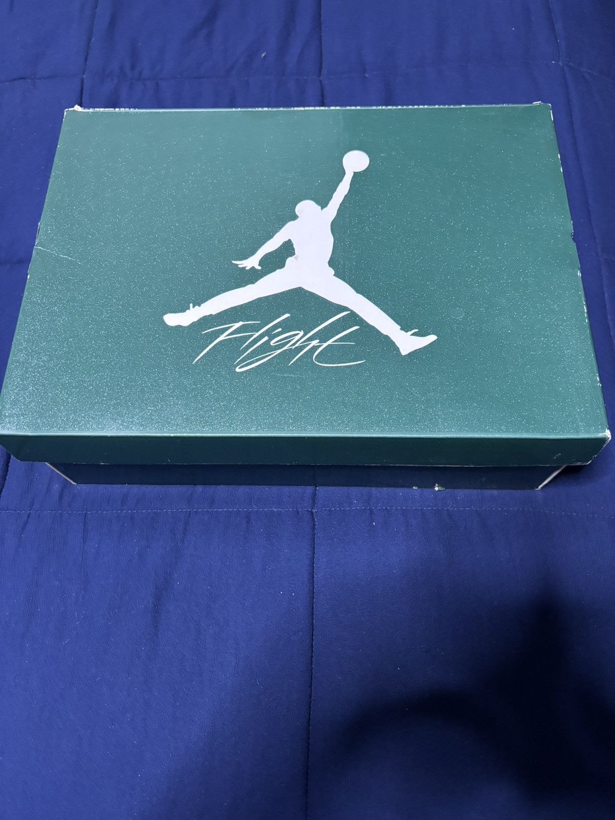 Jordan Brand Jordan 4 Retro Oxidized Green 2024 Size 12 Size US 12 / EU 45 - 8 Thumbnail
