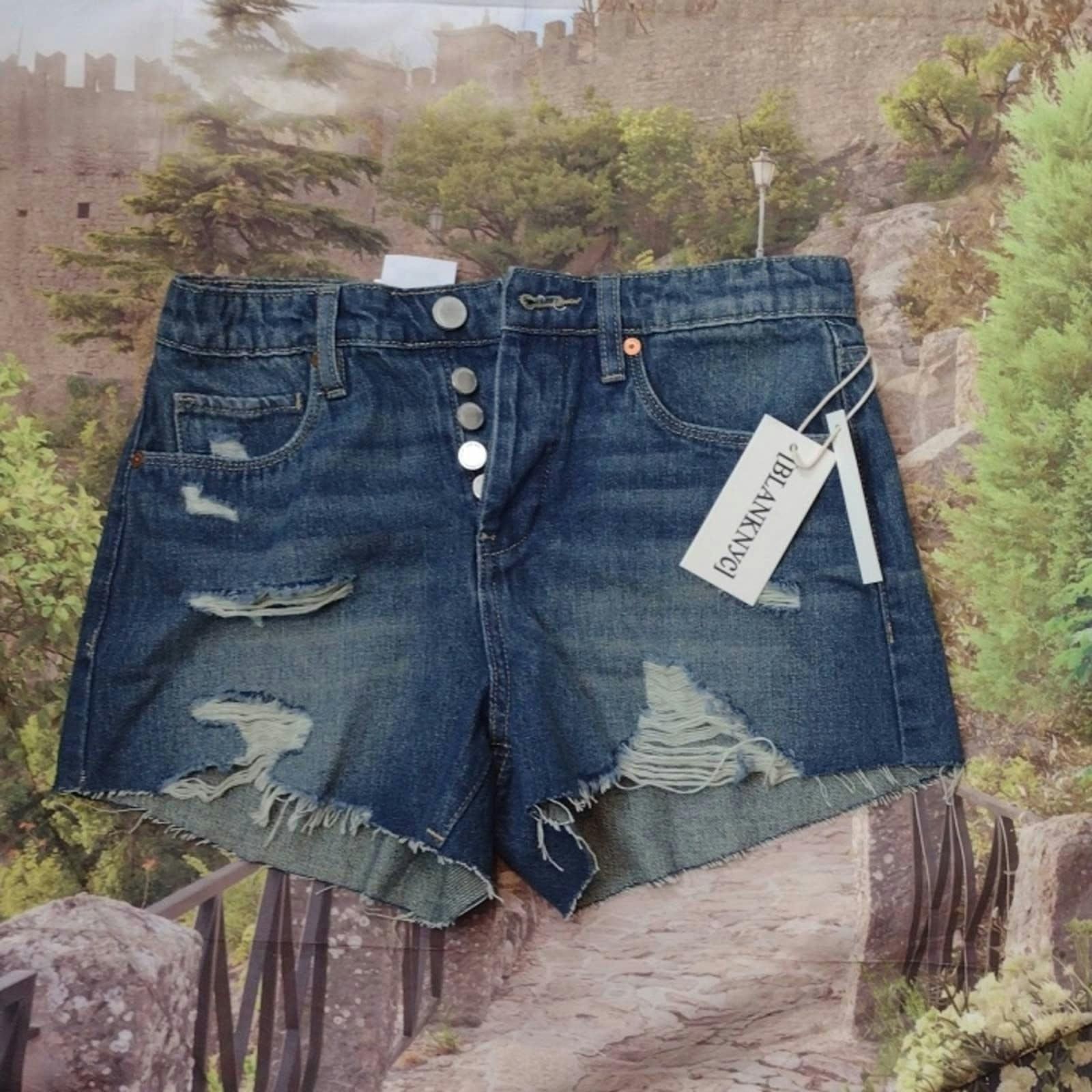 BLANKNYC Blanknyc the barrow vintage high rise shorts size 24 Size 28" / US 6 / IT 42 - 1 Thumbnail