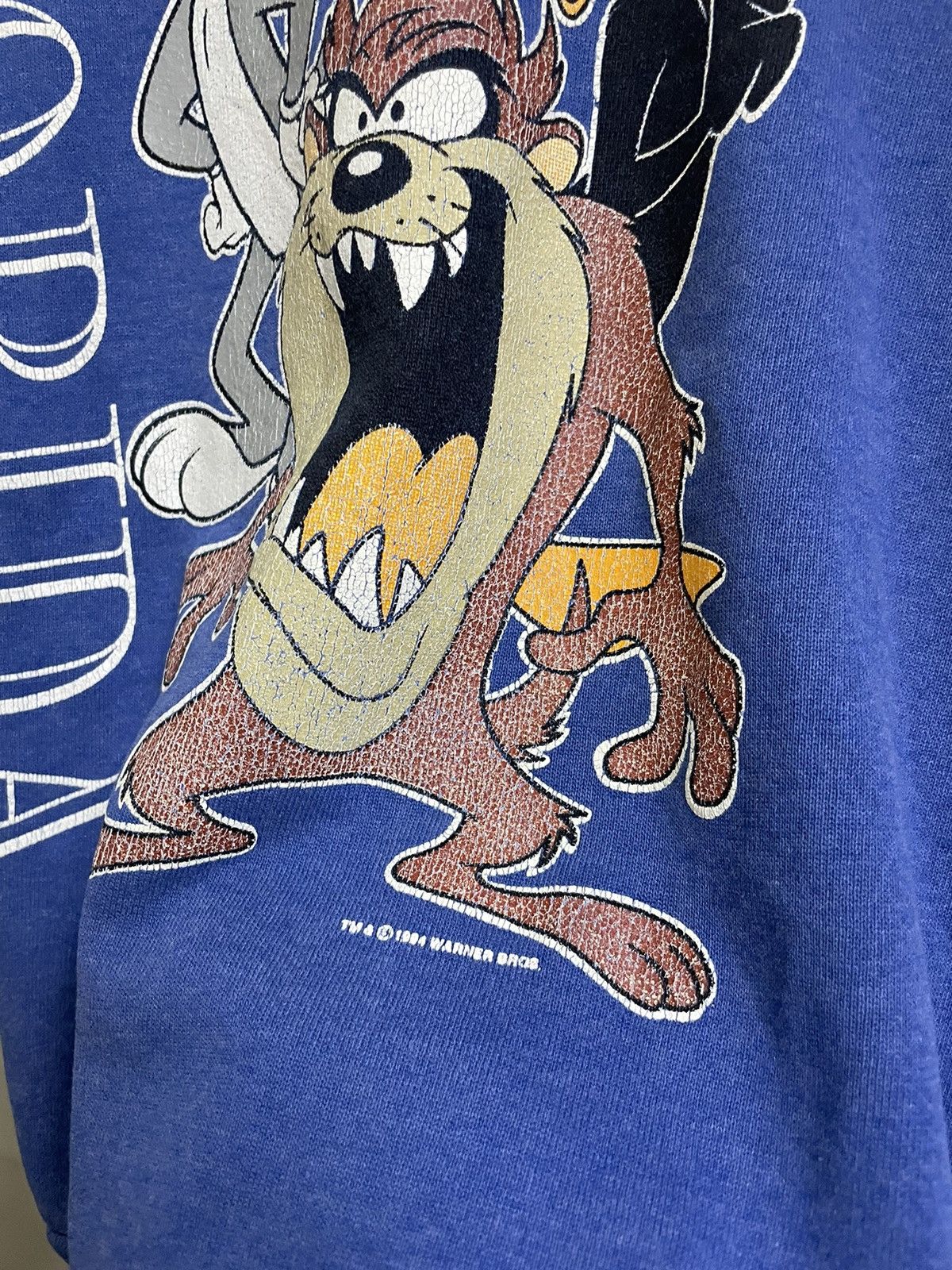 Vintage × Warner Bros Vintage 90’s Warner Bros Florida Size US M / EU 48-50 / 2 - 5 Thumbnail