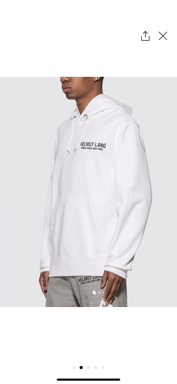 Helmut Lang Helmut Lang Eagle Pop Over Hoodie Size US L / EU 52-54 / 3 - 5 Thumbnail