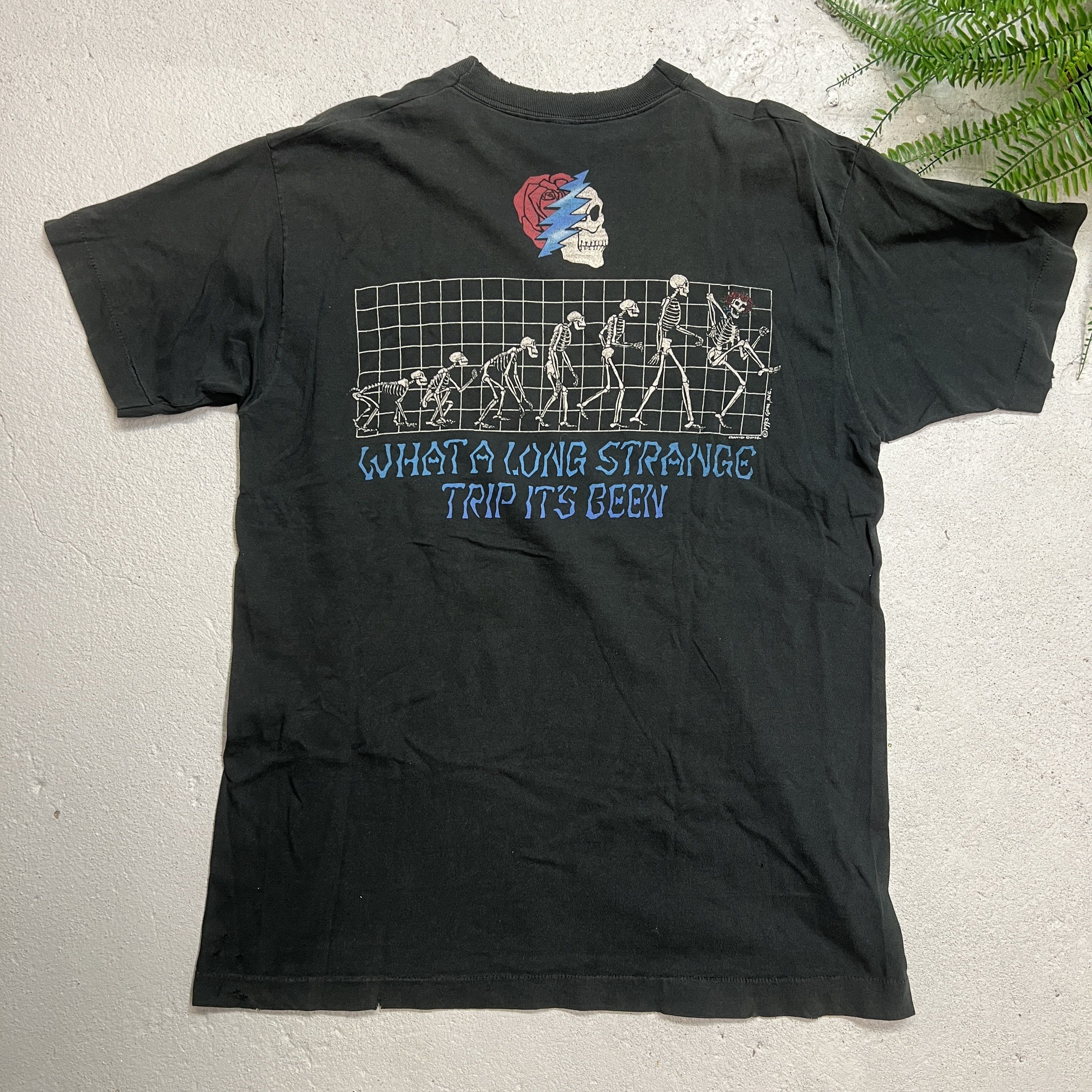 Grateful Dead × Vintage 1993 Grateful Dead Evolution Promo Band Tee Deadhead Size US XL / EU 56 / 4 - 4 Thumbnail