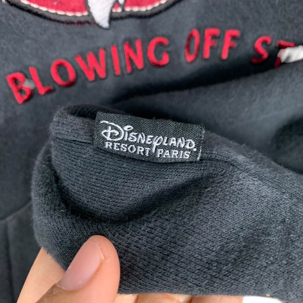 Disney DISNEYLAND RESORT GRUMPY Big Logo Hoodie Pullover #2666-C119 Size US L / EU 52-54 / 3 - 14 Thumbnail