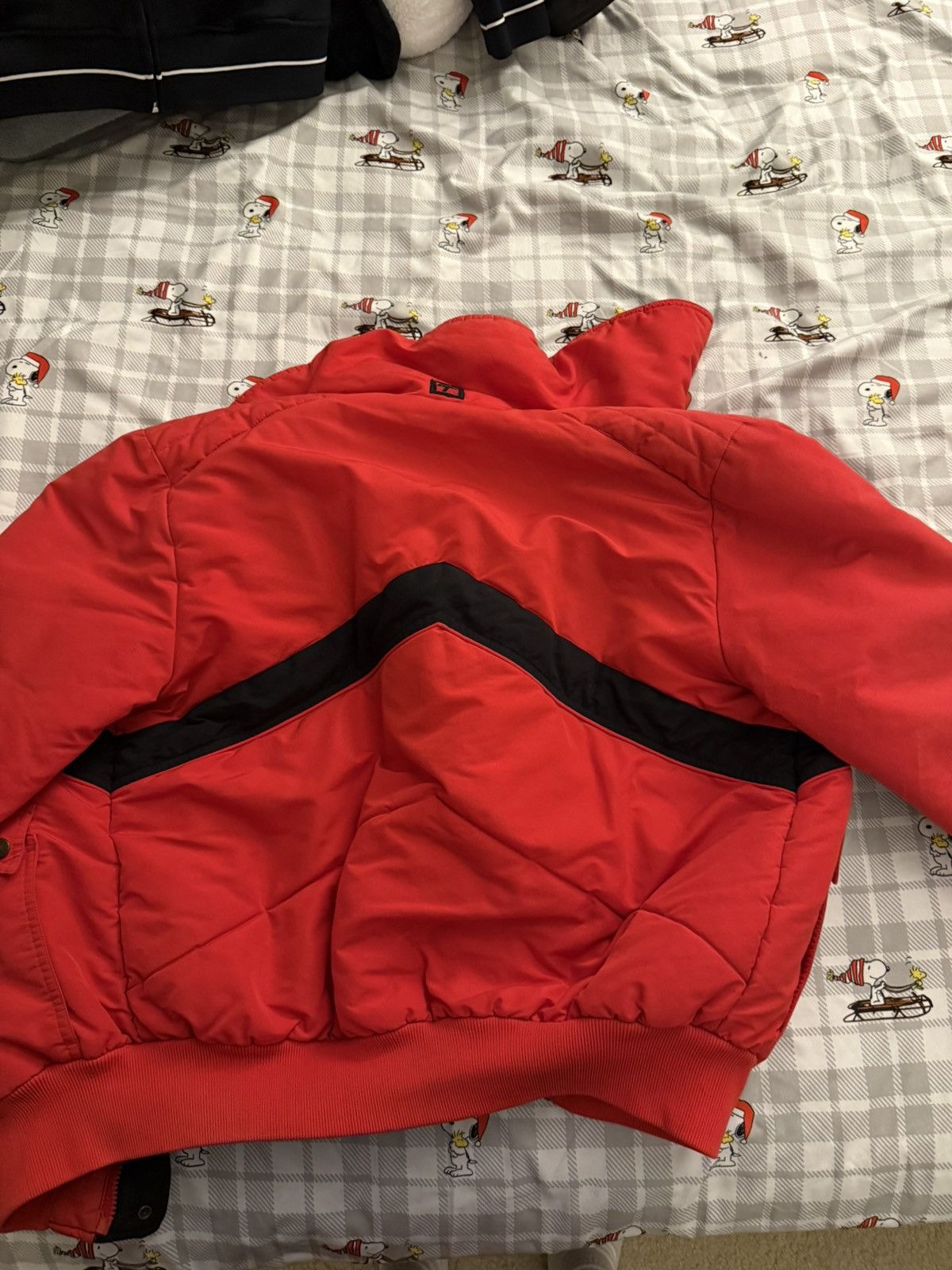 Pacific Trail Pacific Trail 90’s ski jacket Size US M / EU 48-50 / 2 - 6 Thumbnail
