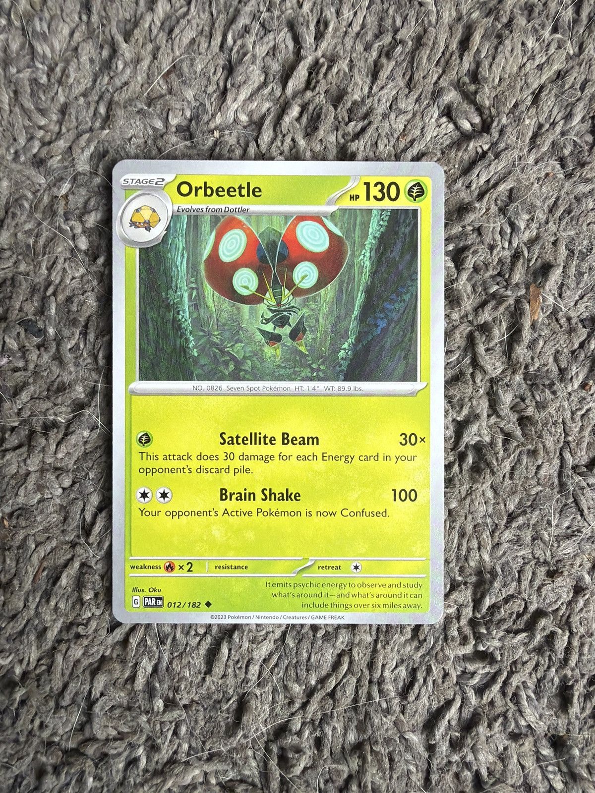 Pokemon 2023 Pokémon Orbeetle Stage 2 Card Size ONE SIZE - 1 Thumbnail