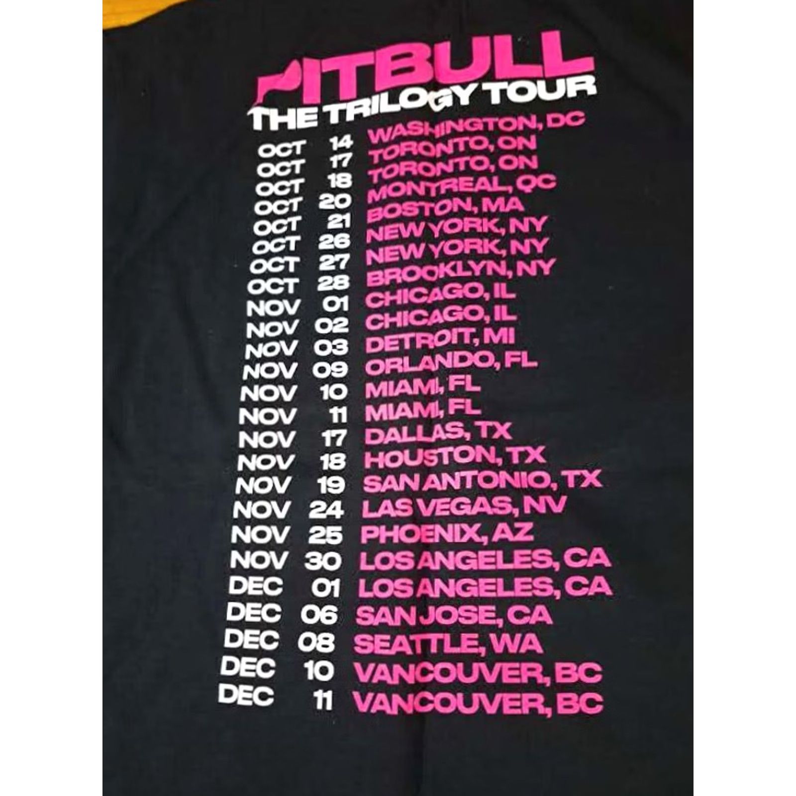 Vintage VINTAGE timeless Shirt L Pit Bull Trilogy Tour Concert Detroit Show Size US L / EU 52-54 / 3 - 5 Thumbnail