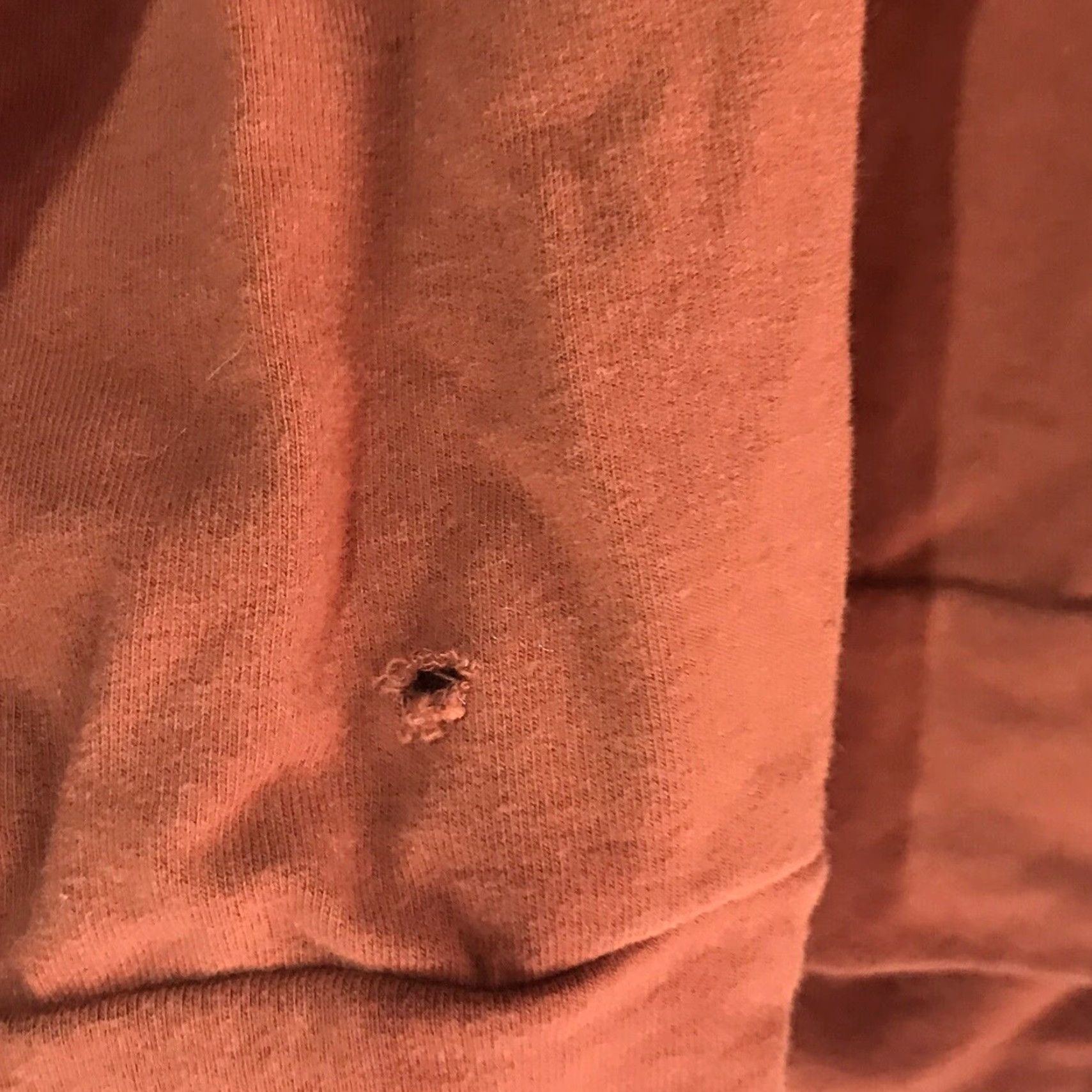 Vintage VINTAGE Fox Sweatshirt Women’s 1X Plus Size Burnt Orange Long Sleeve Knit Casual Fall Winter Size XL / US 12-14 / IT 48-50 - 2 Thumbnail