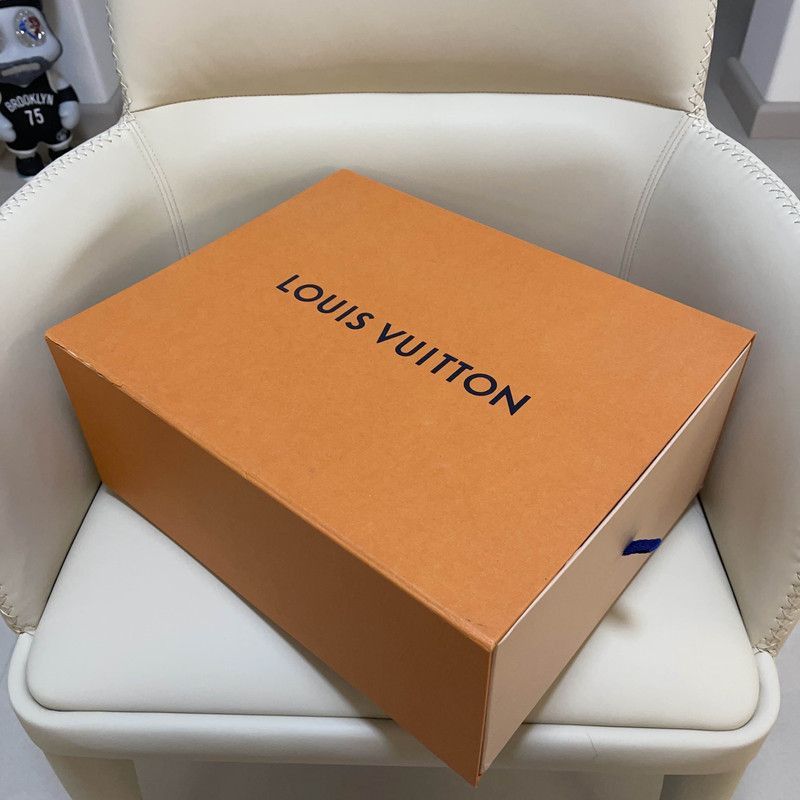 Louis Vuitton Louis Vuitton Trainer Maxi Low-top Sneakers -2508 Size US 9.5 / EU 42-43 - 2 Thumbnail
