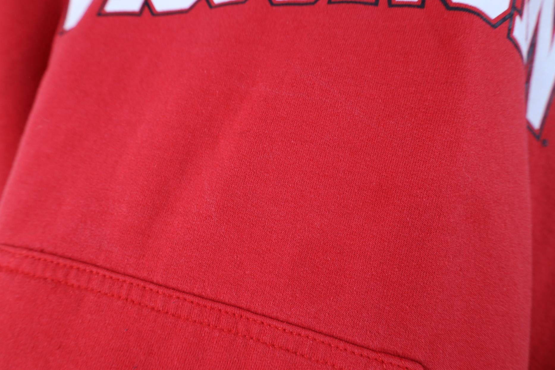 Vintage Vintage 90s Y2K University of Wisconsin Hoodie Sweatshirt Size US S / EU 44-46 / 1 - 6 Thumbnail