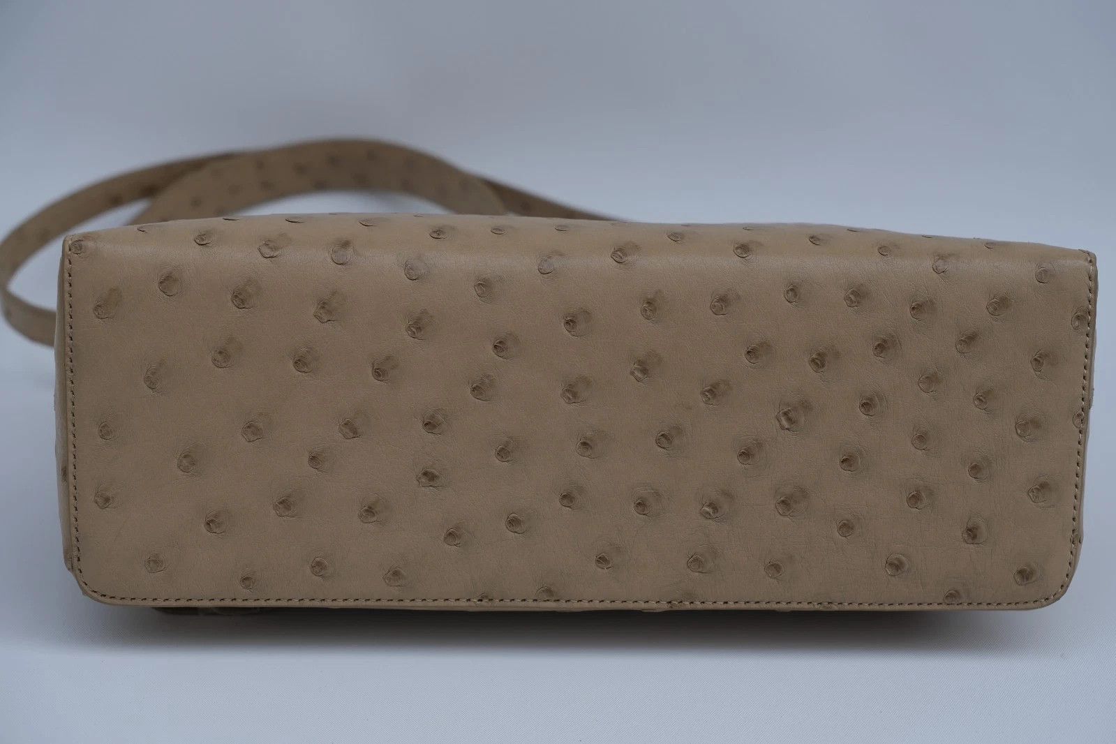 Loro Piana RARE Loro Piana Extra Bag Pocket L27 Ostrich Exotic Sun Gold Size ONE SIZE - 3 Thumbnail