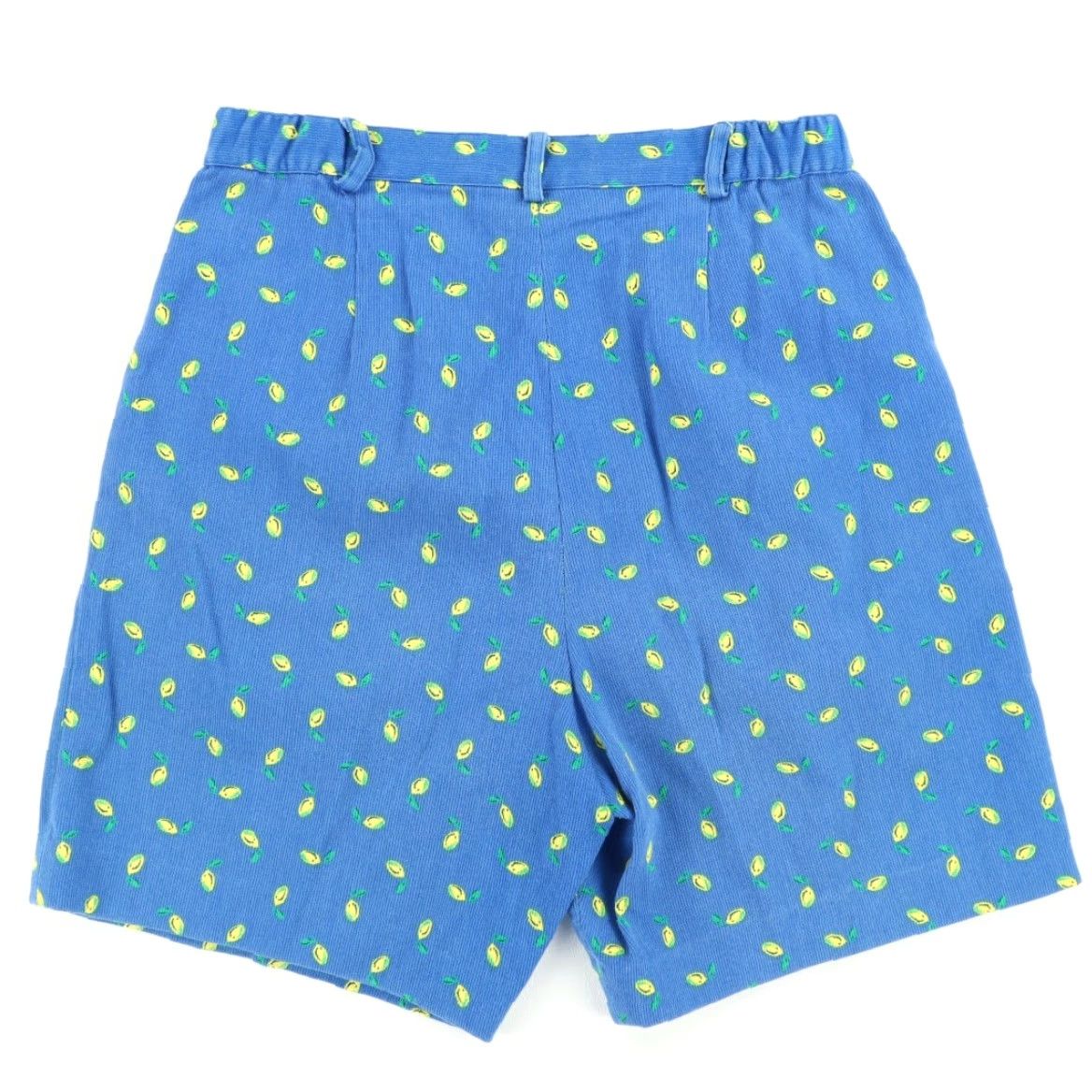 Vintage VINTAGE Eagle's Eye Shorts Chino Women Blue 6 Cotton Corduroy High Rise Lemon Print 7in Inseam Size 28" / US 6 / IT 42 - 4 Thumbnail