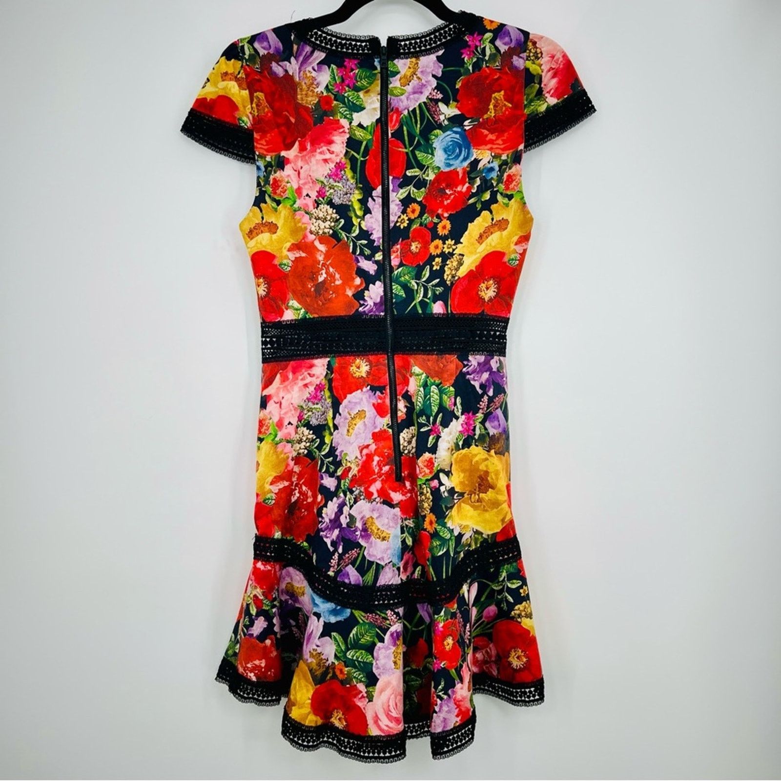 Alice + Olivia Alice + Olivia Rapunzel Flare Dress Blooming Garden Floral Size XS / US 0-2 / IT 36-38 - 9 Thumbnail