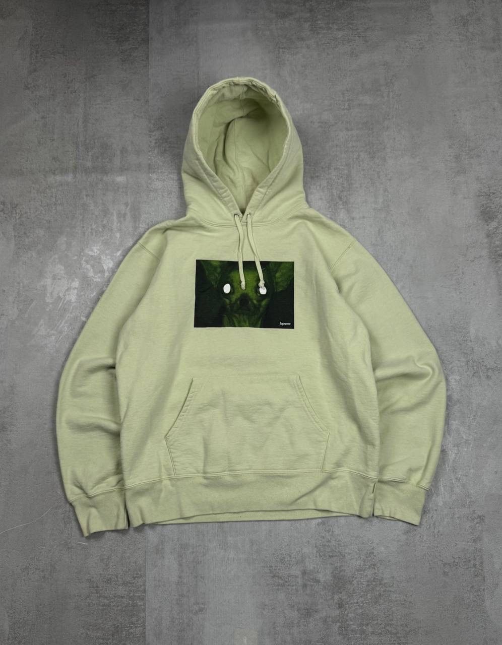 Supreme Supreme hoodie sweater pulls crazy dog Size US M / EU 48-50 / 2 - 1 Thumbnail