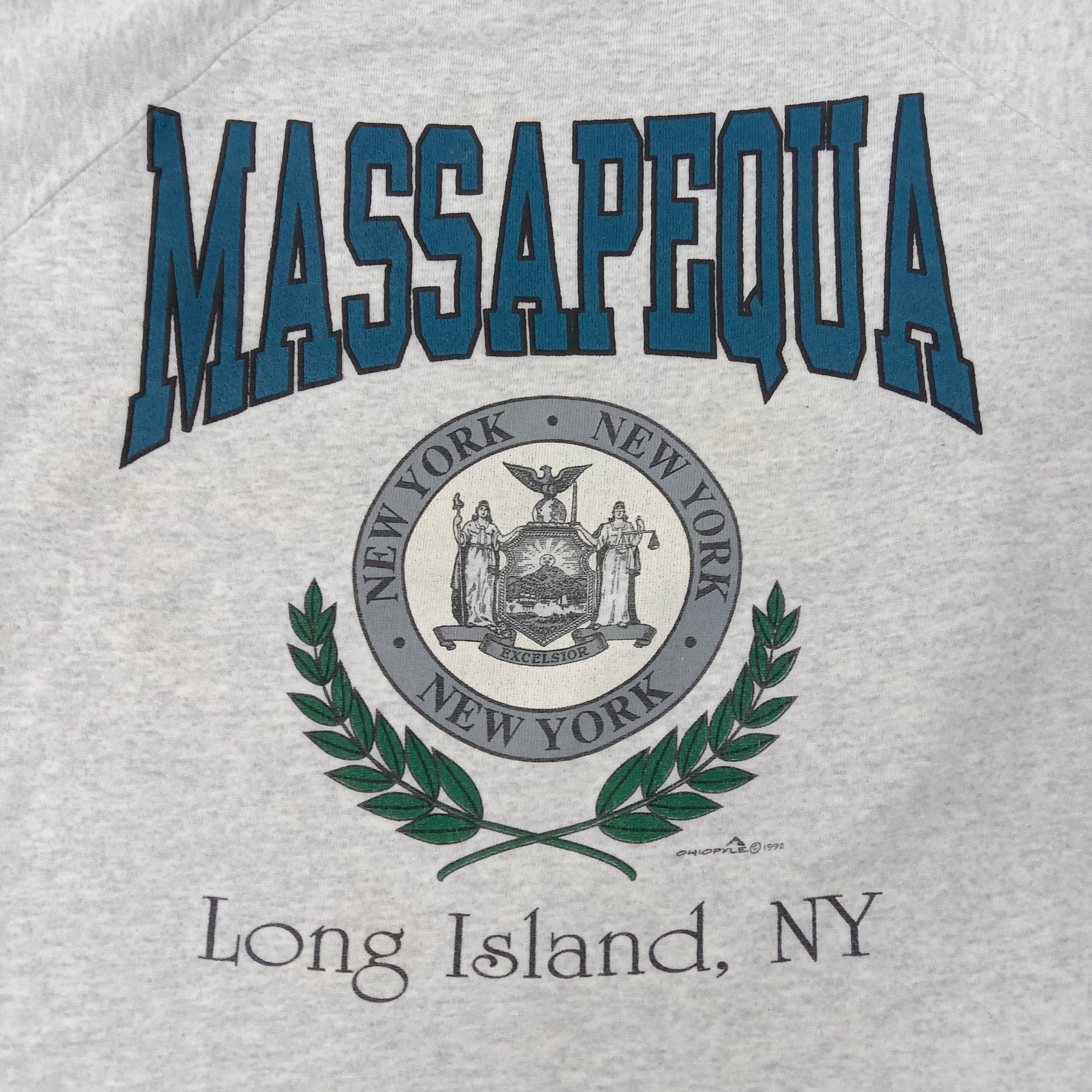 Massapequa New York American State Sweatshirt C257N5