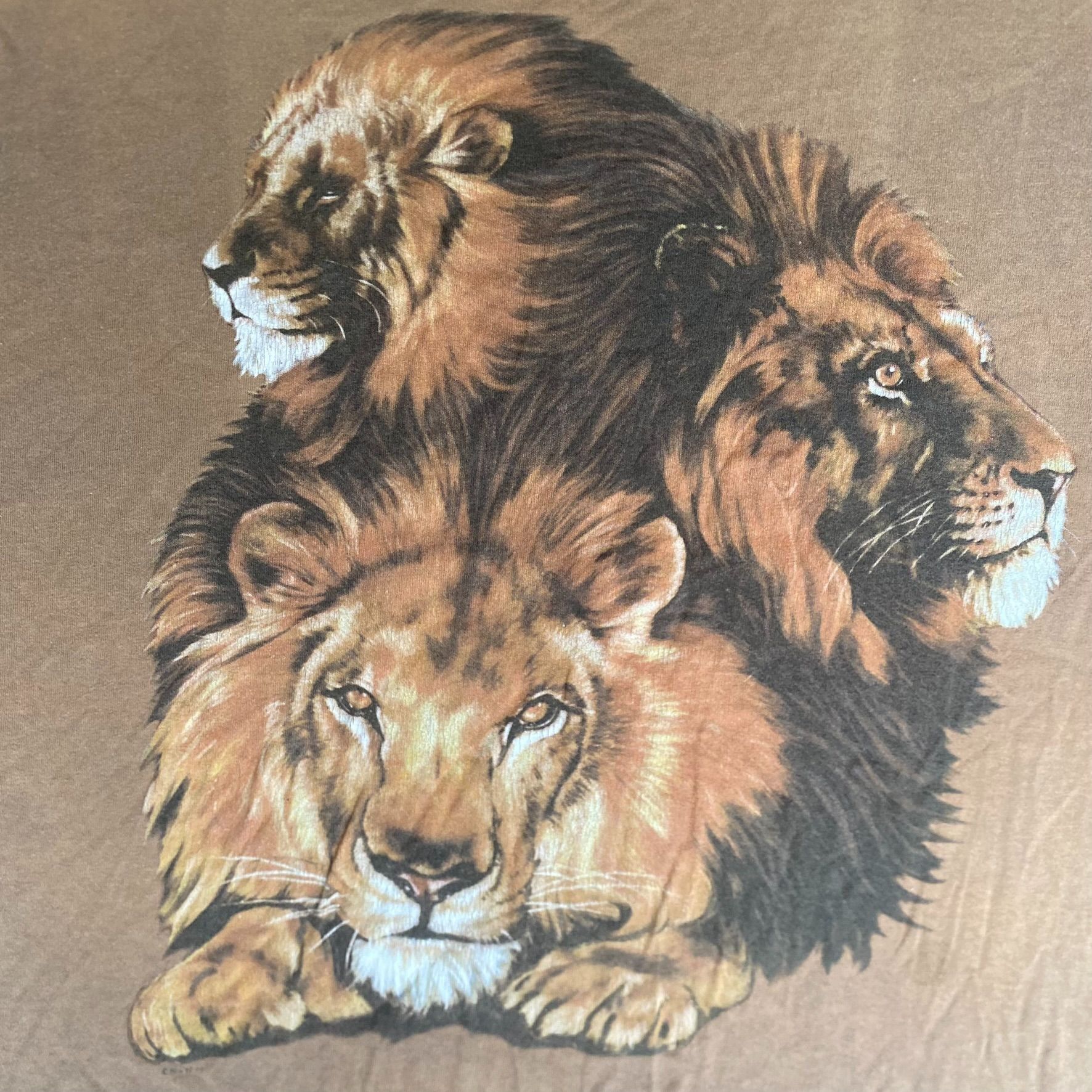 Vintage Vintage 90s Lions Nature Shirt Earth Animal Artwork Tan Tee Size US L / EU 52-54 / 3 - 3 Thumbnail
