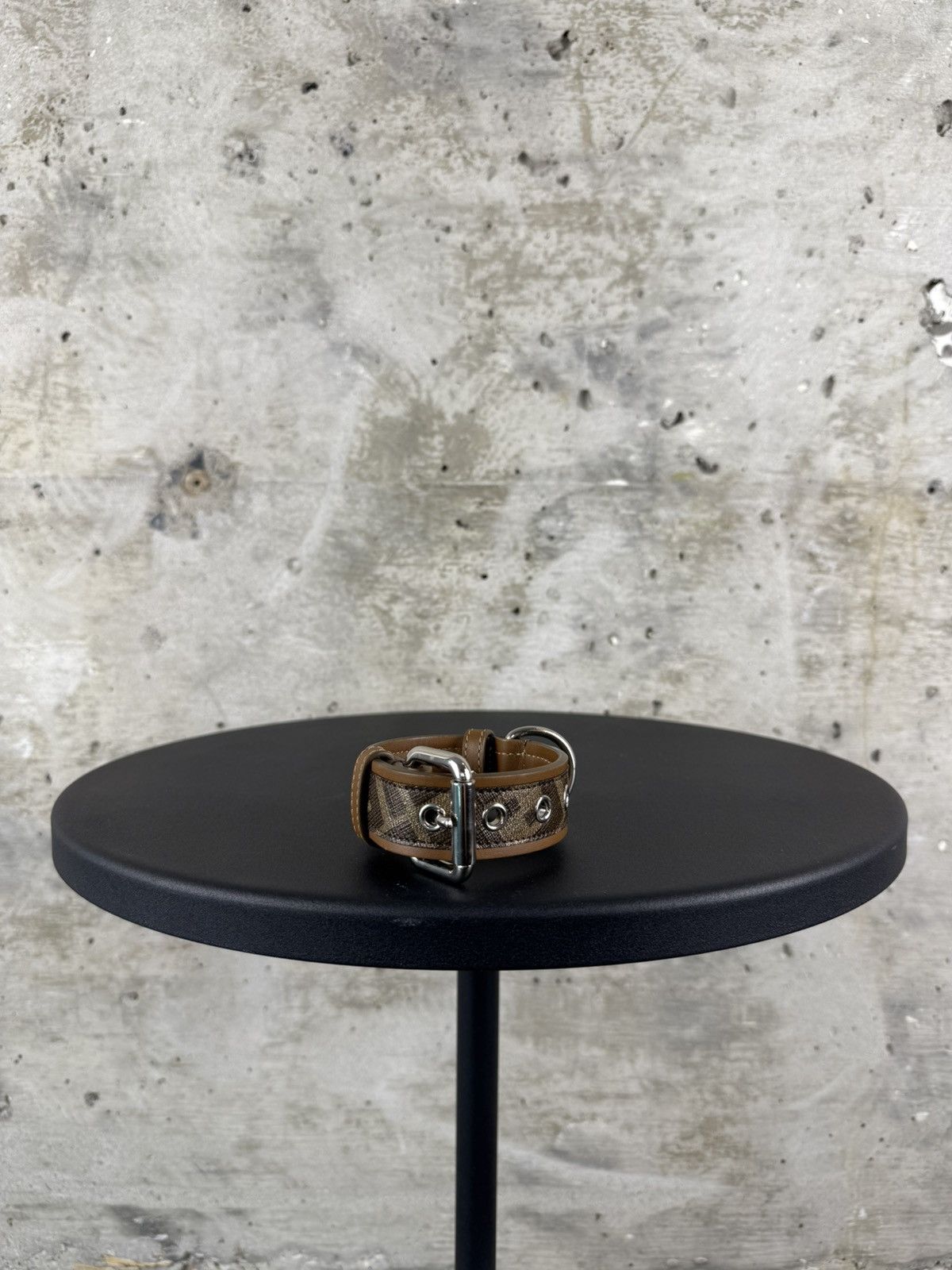 Fendi Dog Collar