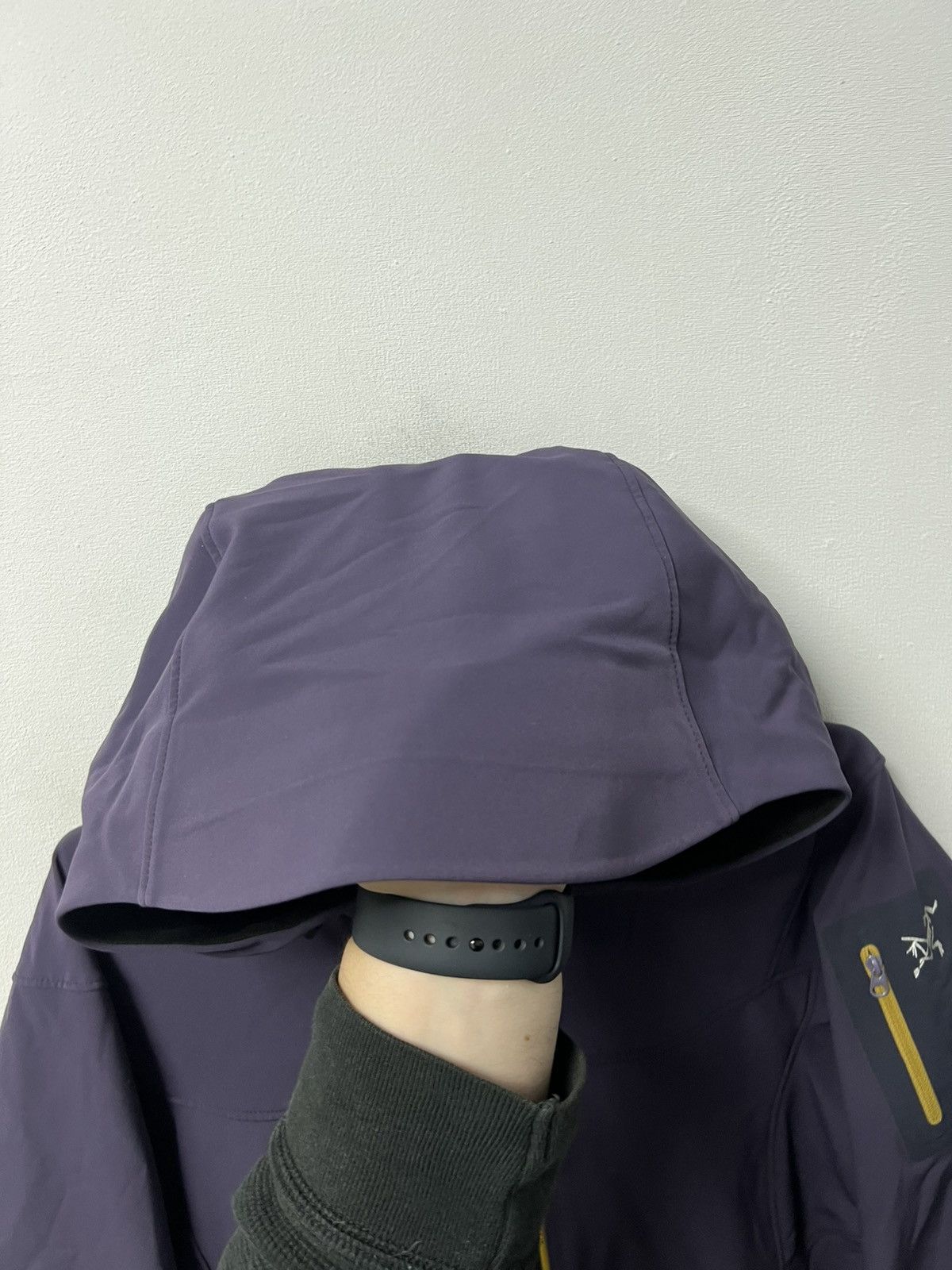 Arc'teryx Vintage Arcteryx Gamma MX soft shell polartec jacket Size US S / EU 44-46 / 1 - 3 Thumbnail