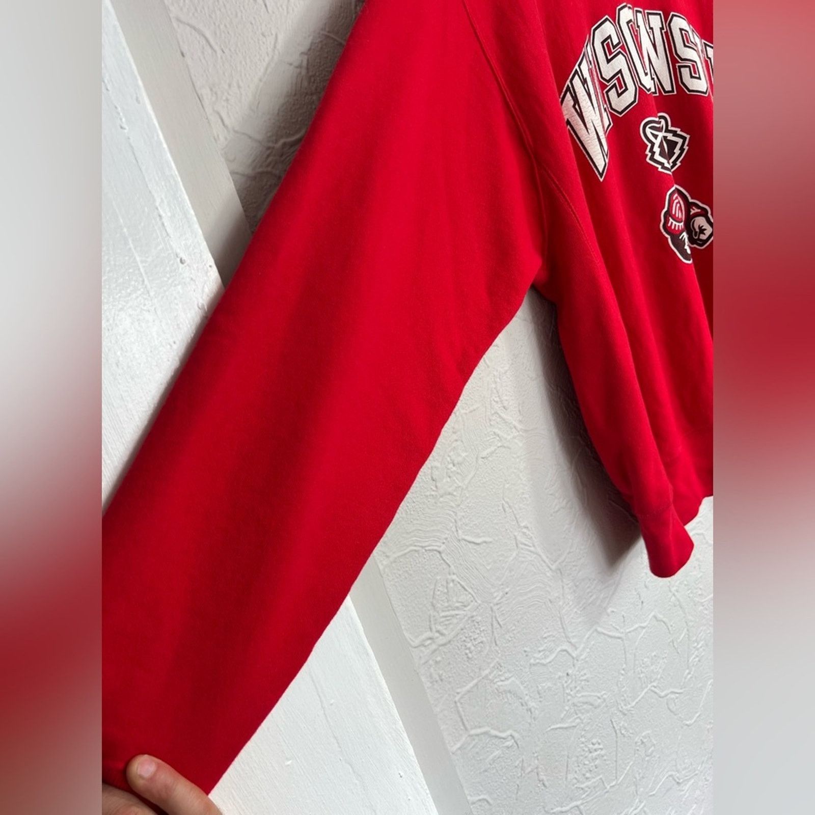 Champion VINTAGE Champion Reverse Weave Wisconsin Badgers Red Bucky Size US L / EU 52-54 / 3 - 7 Thumbnail