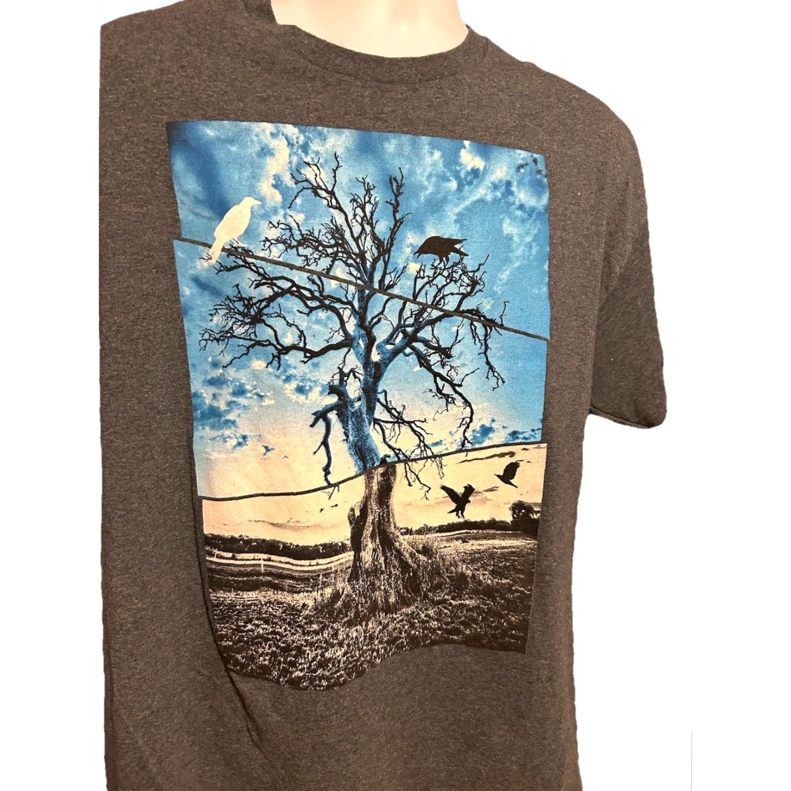 Vintage Tony Hawk Skateboarding Nature T Shirt Men XL Gray Short Sleeve Birds Trees Graphic Print Size US XL / EU 56 / 4 - 6 Thumbnail