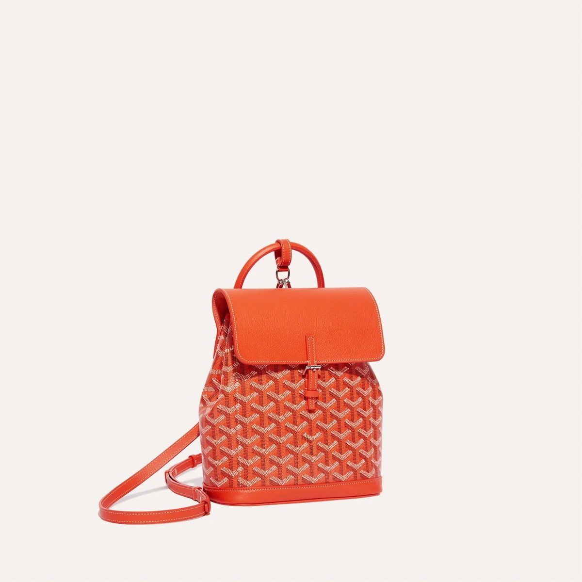 Goyard Alpin mini backpack Size ONE SIZE - 1 Thumbnail