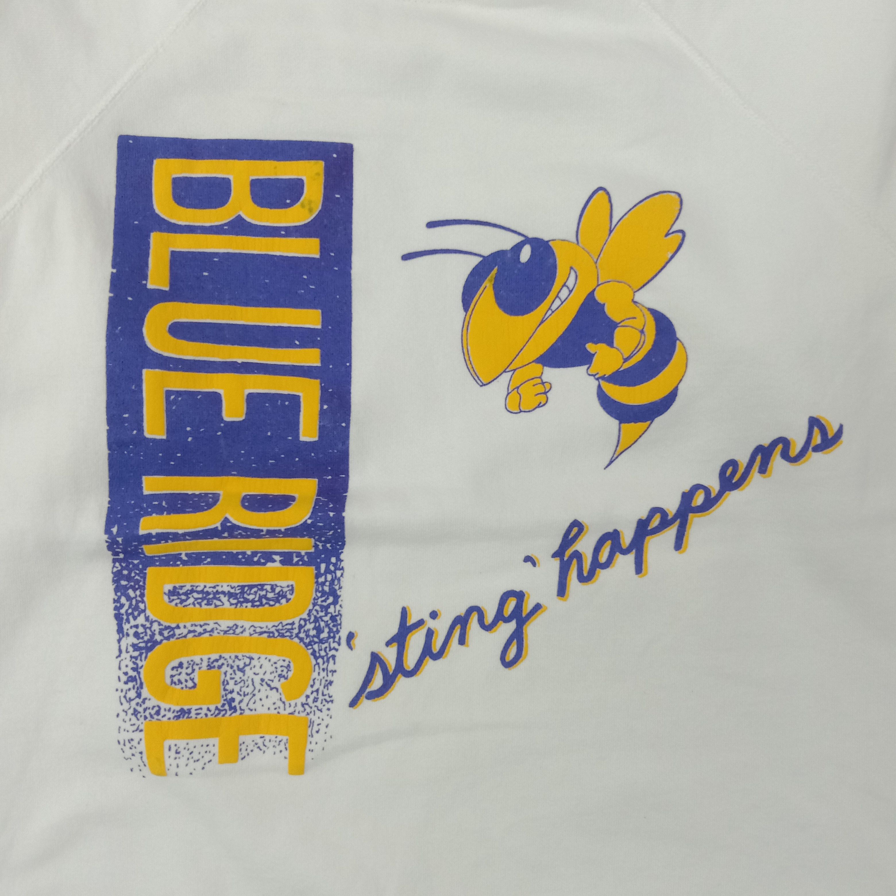 Vintage Vintage 90's Blue Ridge American Sport Sweatshirt C222N8 Size US M / EU 48-50 / 2 - 2 Thumbnail