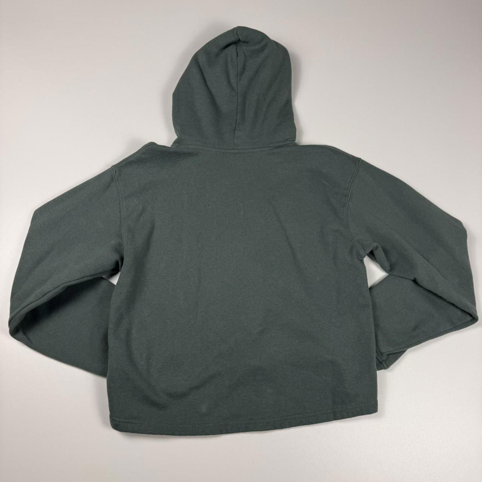 The North Face The North Face Hoodie Size US M / EU 48-50 / 2 - 3 Thumbnail