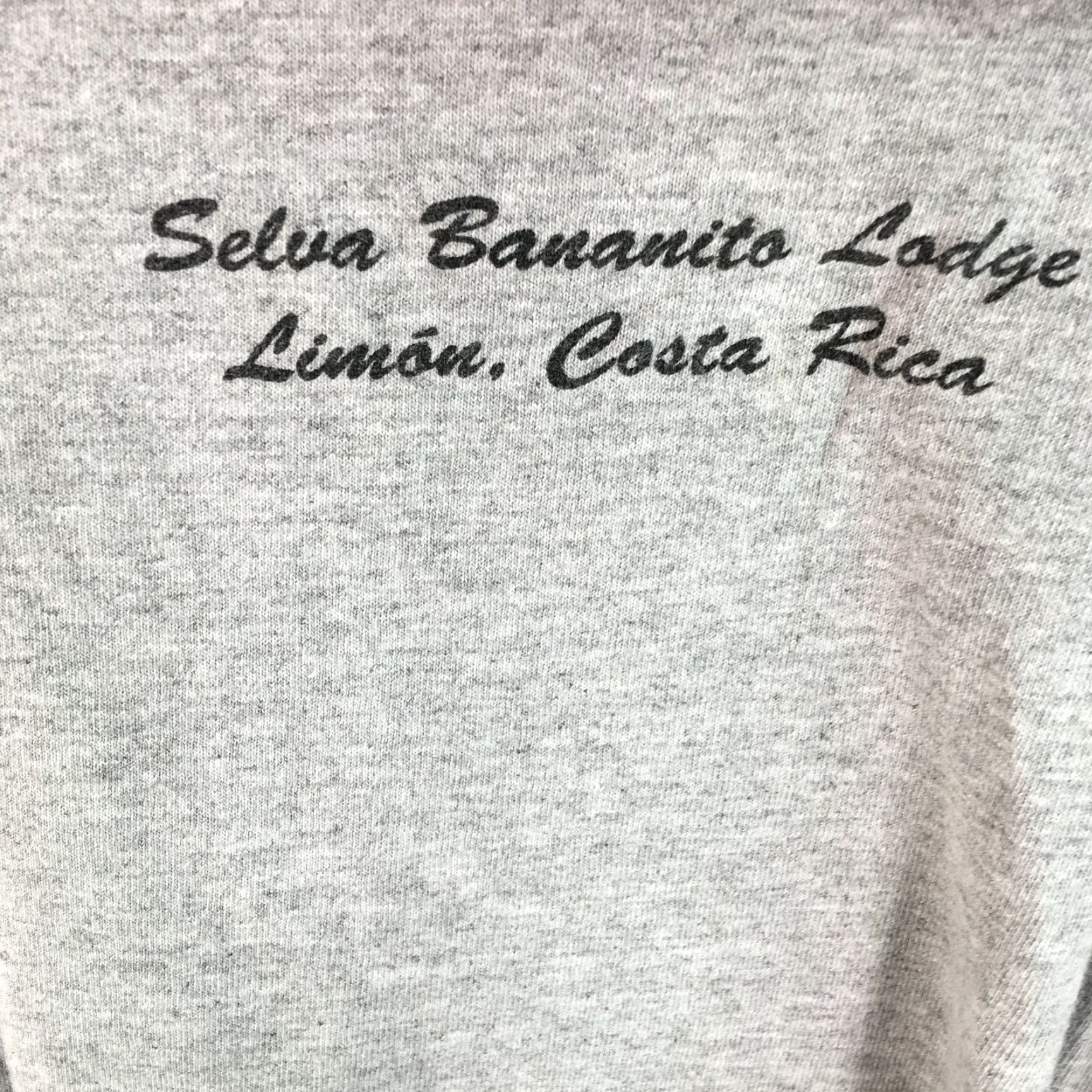 Vintage VINTAGE Selva Bananito Lodge Costa Rica T-Shirt Short Sleeve Gray Adult Large Mens Size US S / EU 44-46 / 1 - 4 Thumbnail