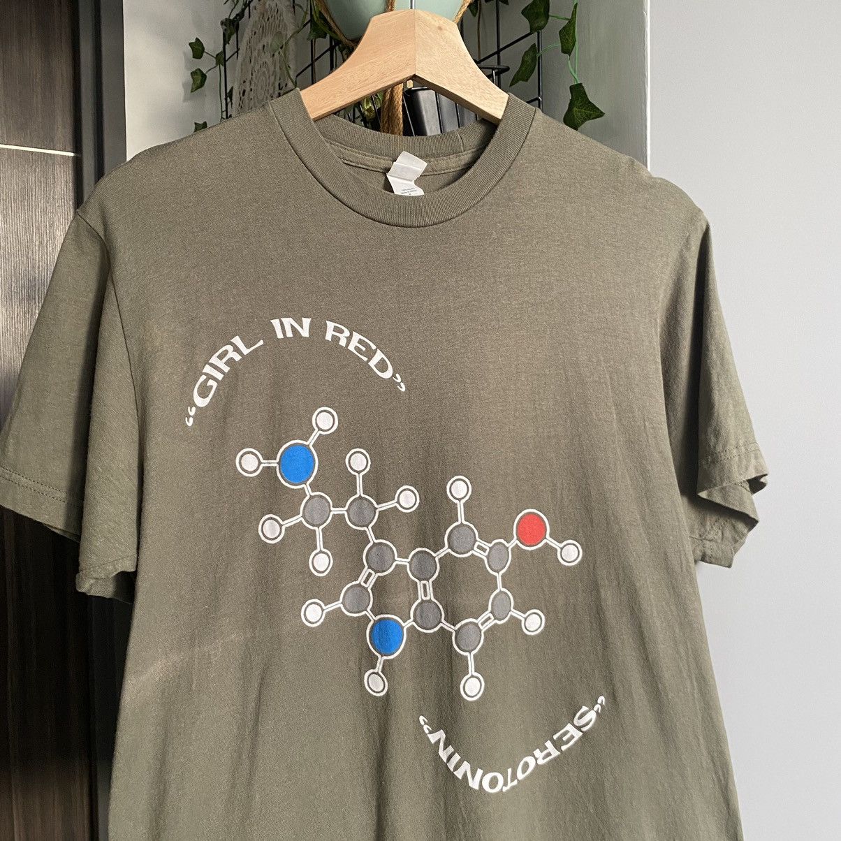 Band Tees Girl In Red Serotonin Song Indie Band ERD GRUNGE GRAIL Tee Size US M / EU 48-50 / 2 - 3 Thumbnail