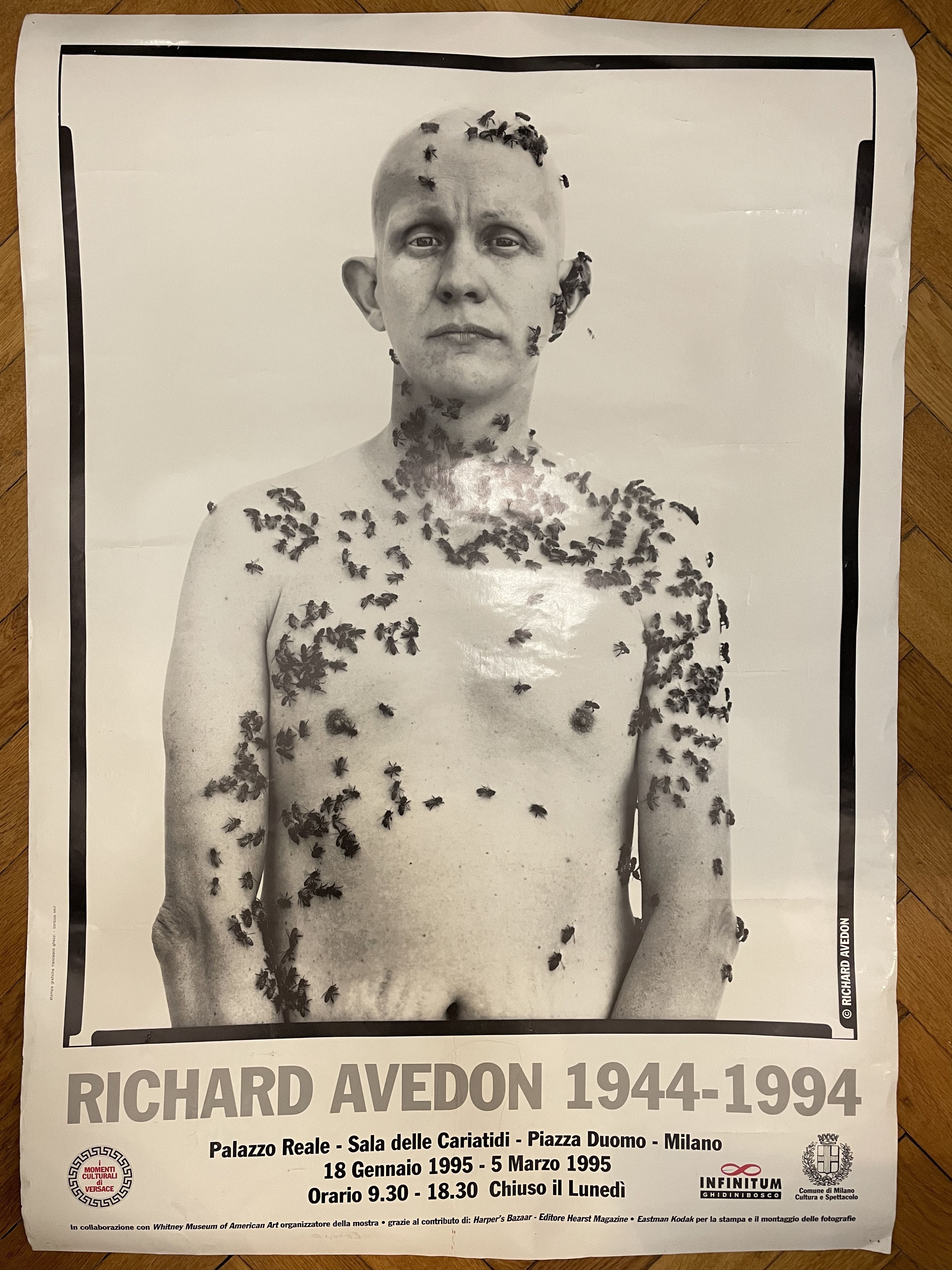 image of Porter Richard Avedon Poster -Wow!!! in Mix, Men's