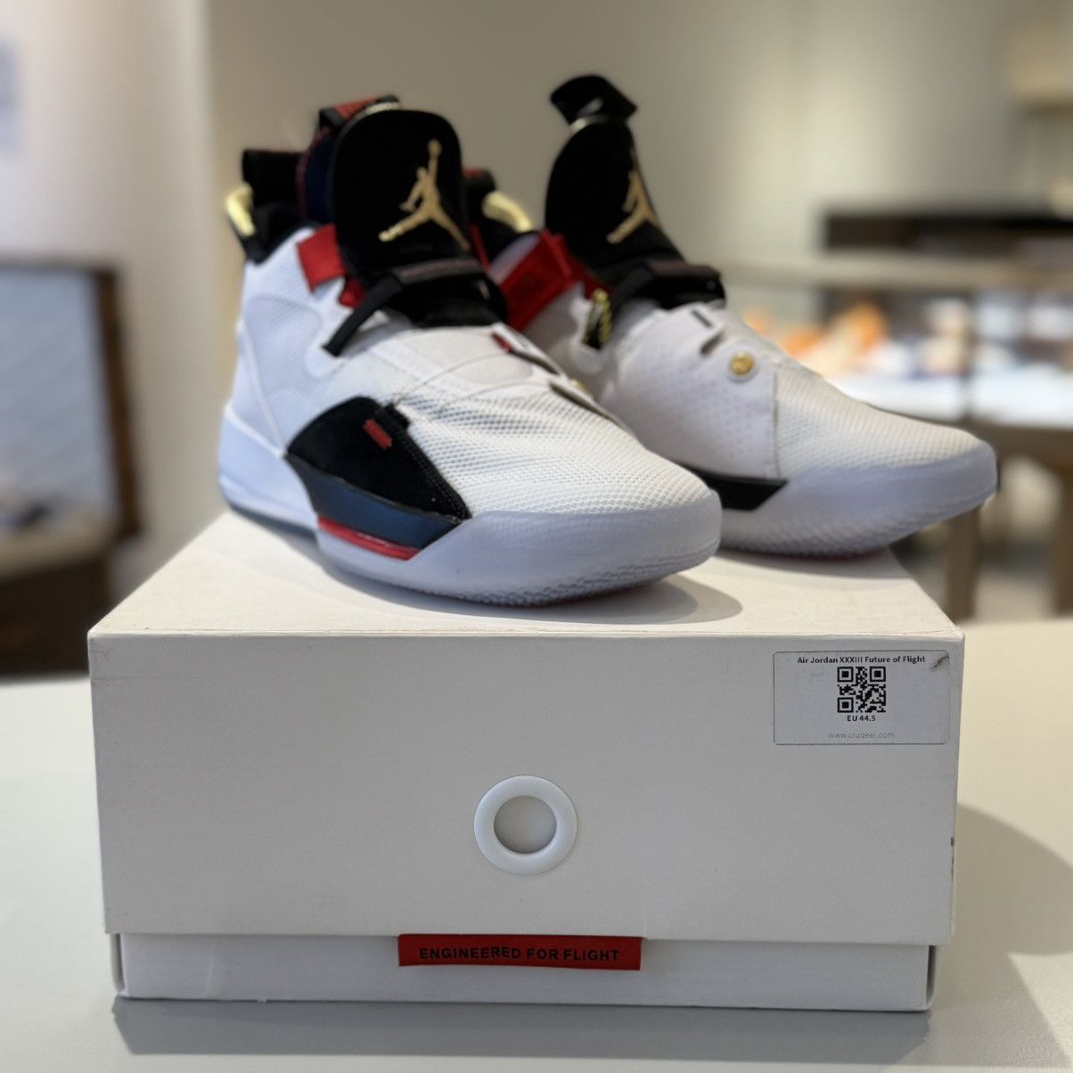 Jordan Brand Air Jordan XXXIII Future of Flight Size US 10.5 / EU 43-44 - 5 Thumbnail