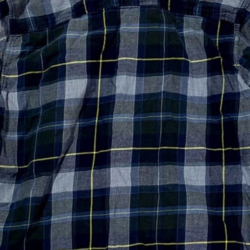 Patagonia Patagonia Mens Shirt Button Up Long Sleeve Plaid Organic Cotton Size L Blue Size US L / EU 52-54 / 3 - 7 Thumbnail