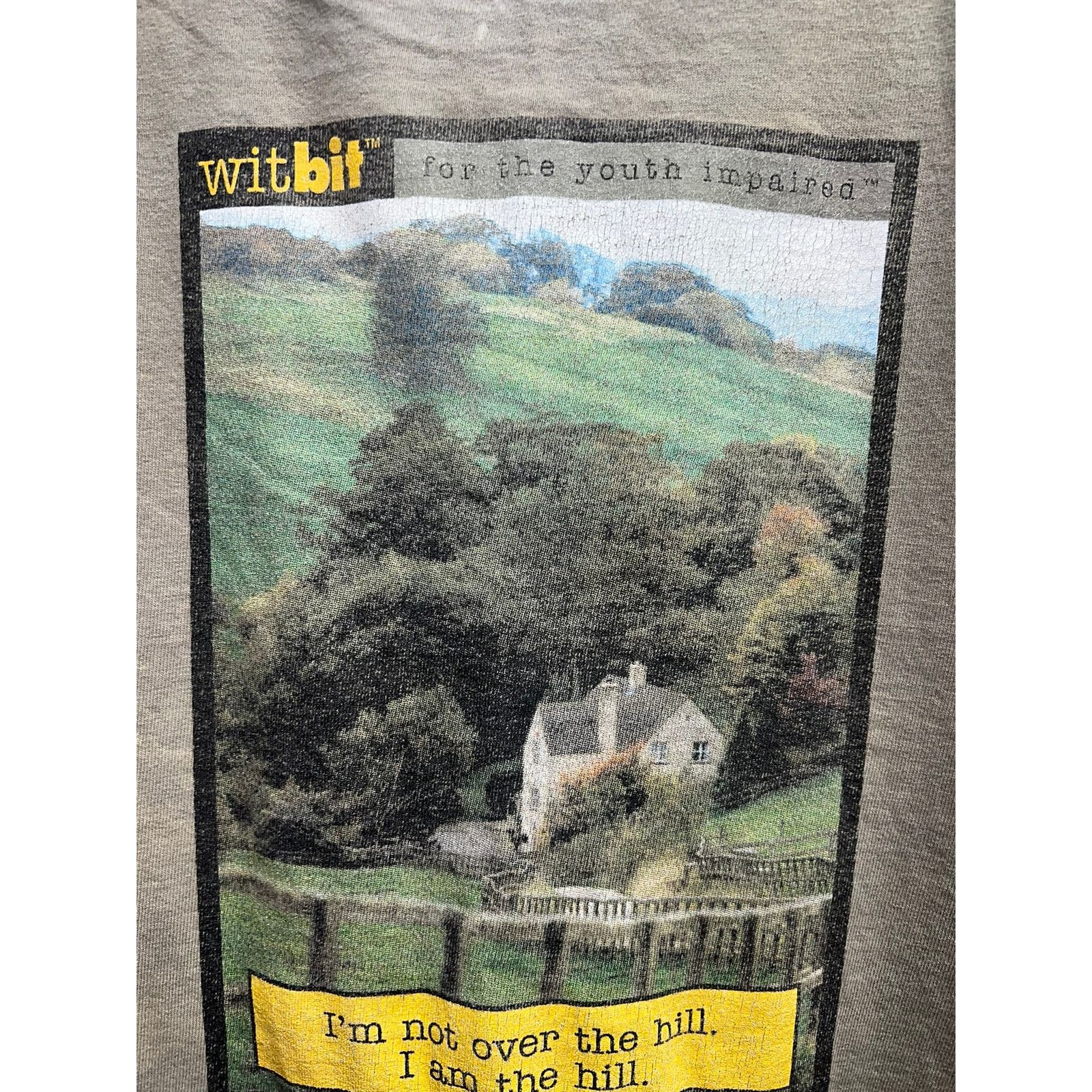 Tultex Vintage Witbit Shirt Youth Impaired Hill Cartoon Comic XL Size US XL / EU 56 / 4 - 4 Thumbnail