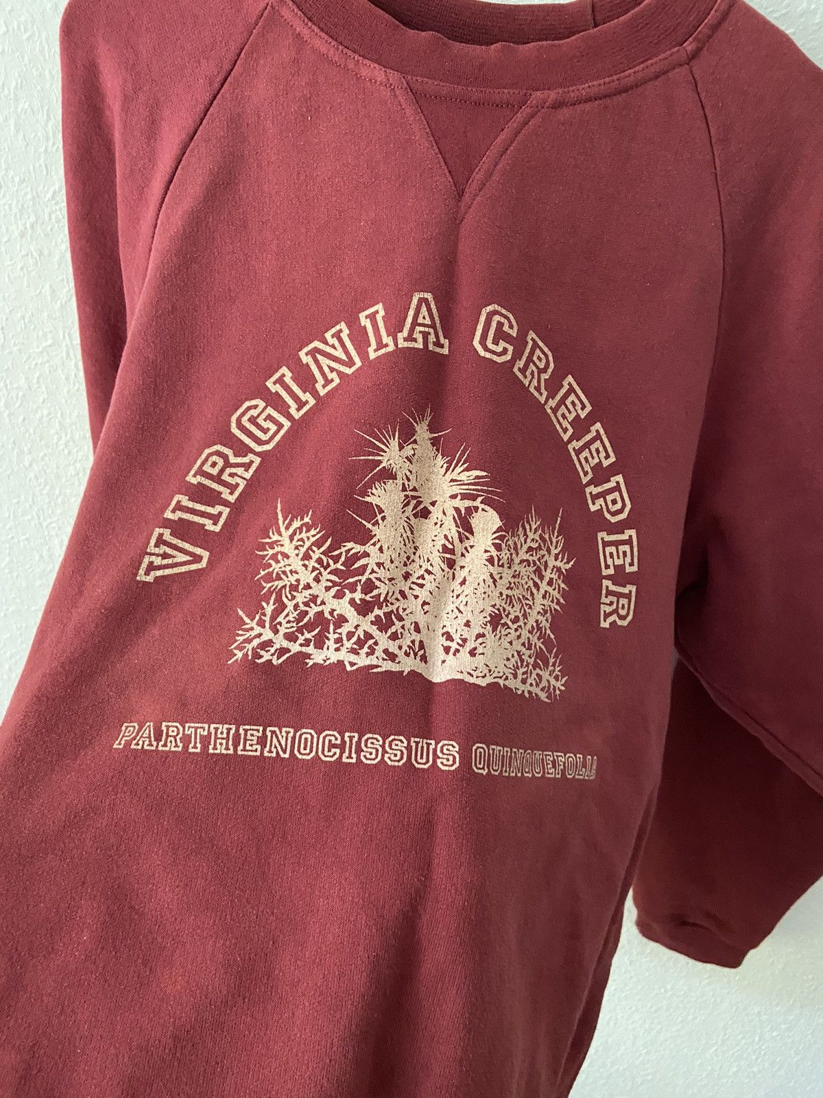 ラフシモンズ rafsimons Virginia Creeper スウェット Buy Raf Simons Virginia Creeper Crewneck Online at Groupie