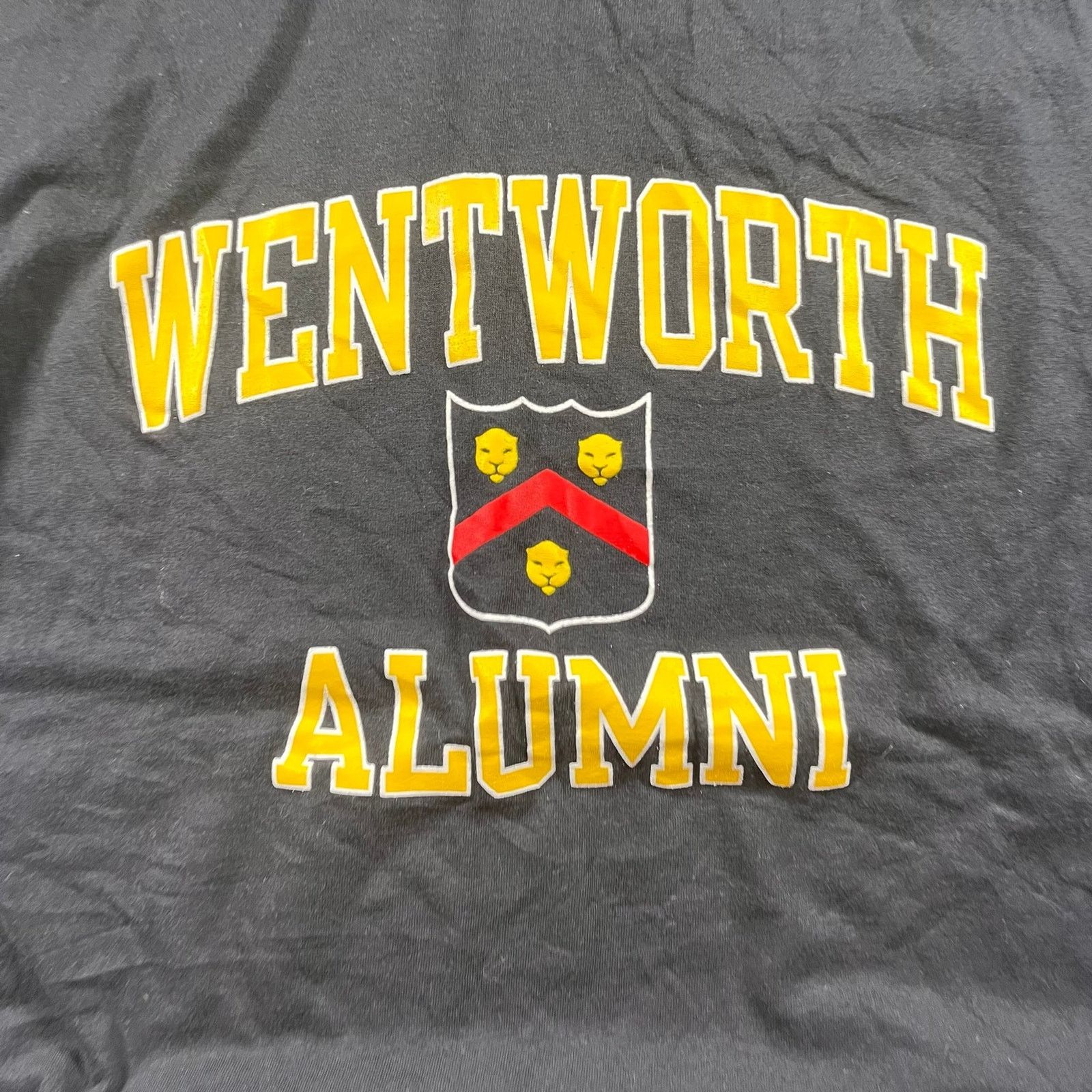 Champion Wentworth alumni T-shirt Size US XL / EU 56 / 4 - 2 Thumbnail