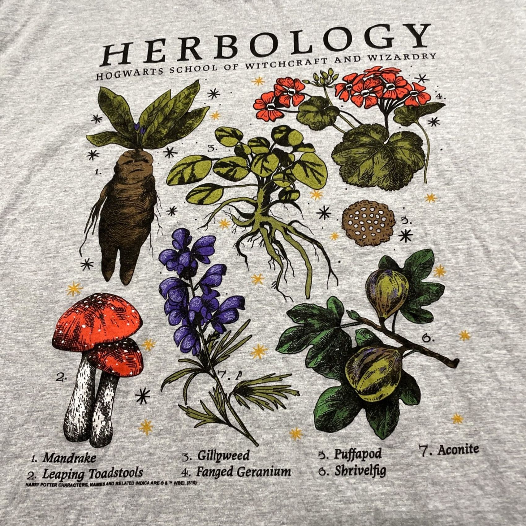 Vintage HARRY POTTER HERBOLOGY Shirt Men XL Gray Hogwarts Mandrake XL 46 48 Graphic Print Logo Crew Neck Short Sleeve Cotton Regular Size US XL / EU 56 / 4 - 3 Thumbnail