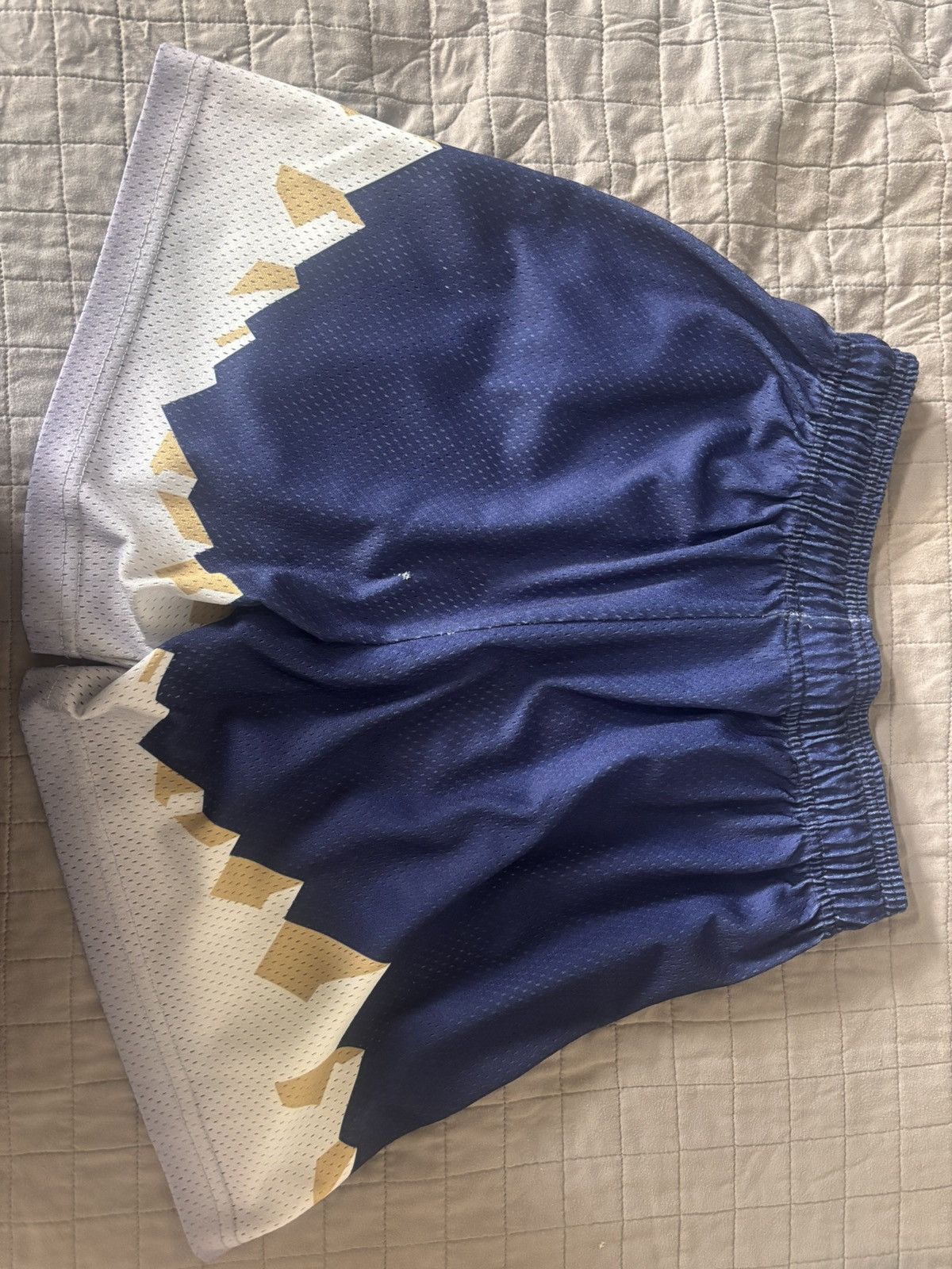 Eric Emanuel Eric Emanuel EE Blue mountain shorts size small Size US 30 / EU 46 - 2 Thumbnail