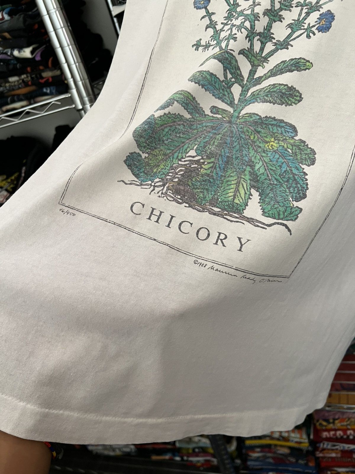 Arts & Science 1988 Chicory Maureen O’brien Plant Tee 80s Cypress Gardens Size US M / EU 48-50 / 2 - 5 Thumbnail
