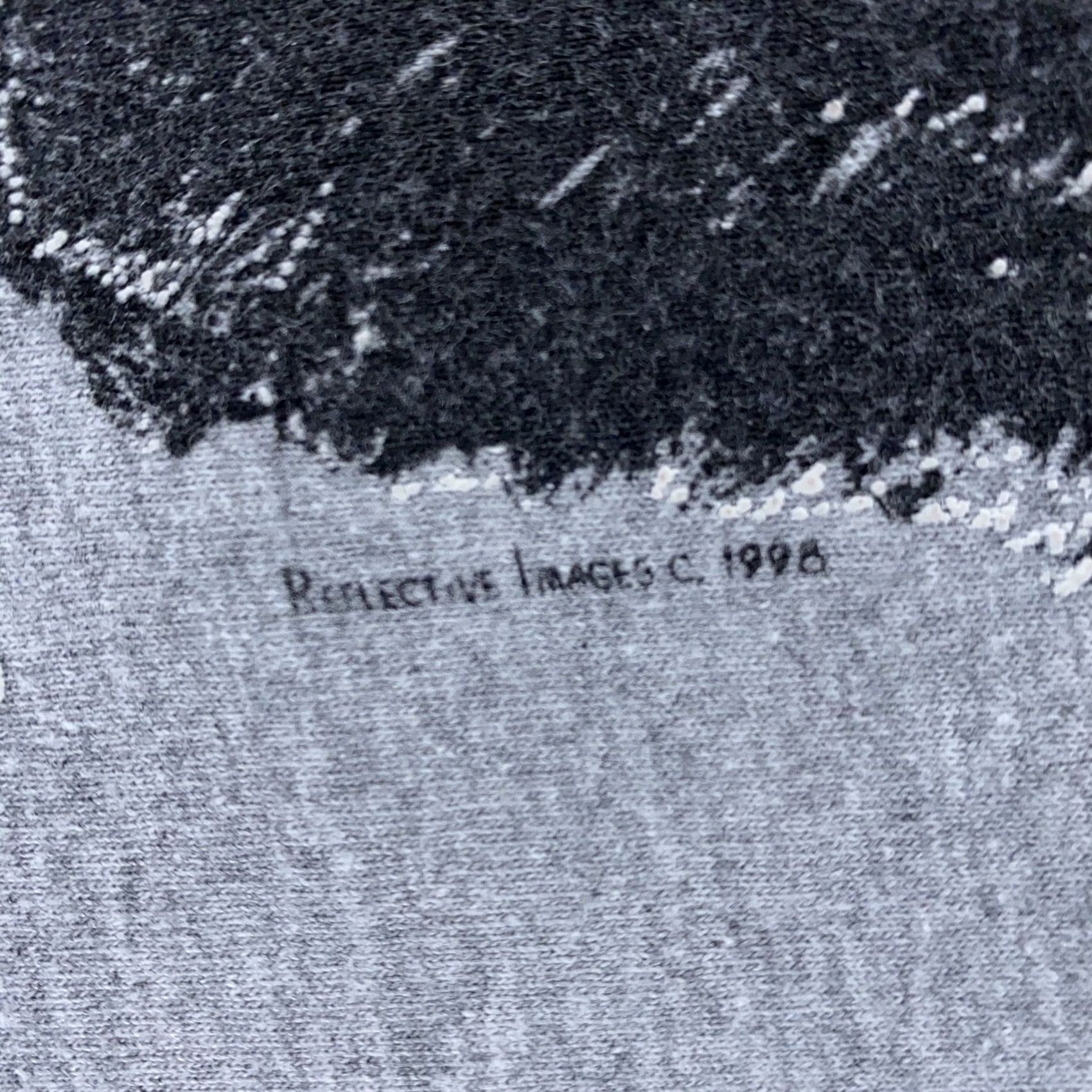 Hanes VINTAGE Black Bear Shirt Mens M Gray Cotton Blend 90s Nature Wildlife Graphic Yogi Bear Crew Neck Short Sleeve Hanes Size US M / EU 48-50 / 2 - 3 Thumbnail