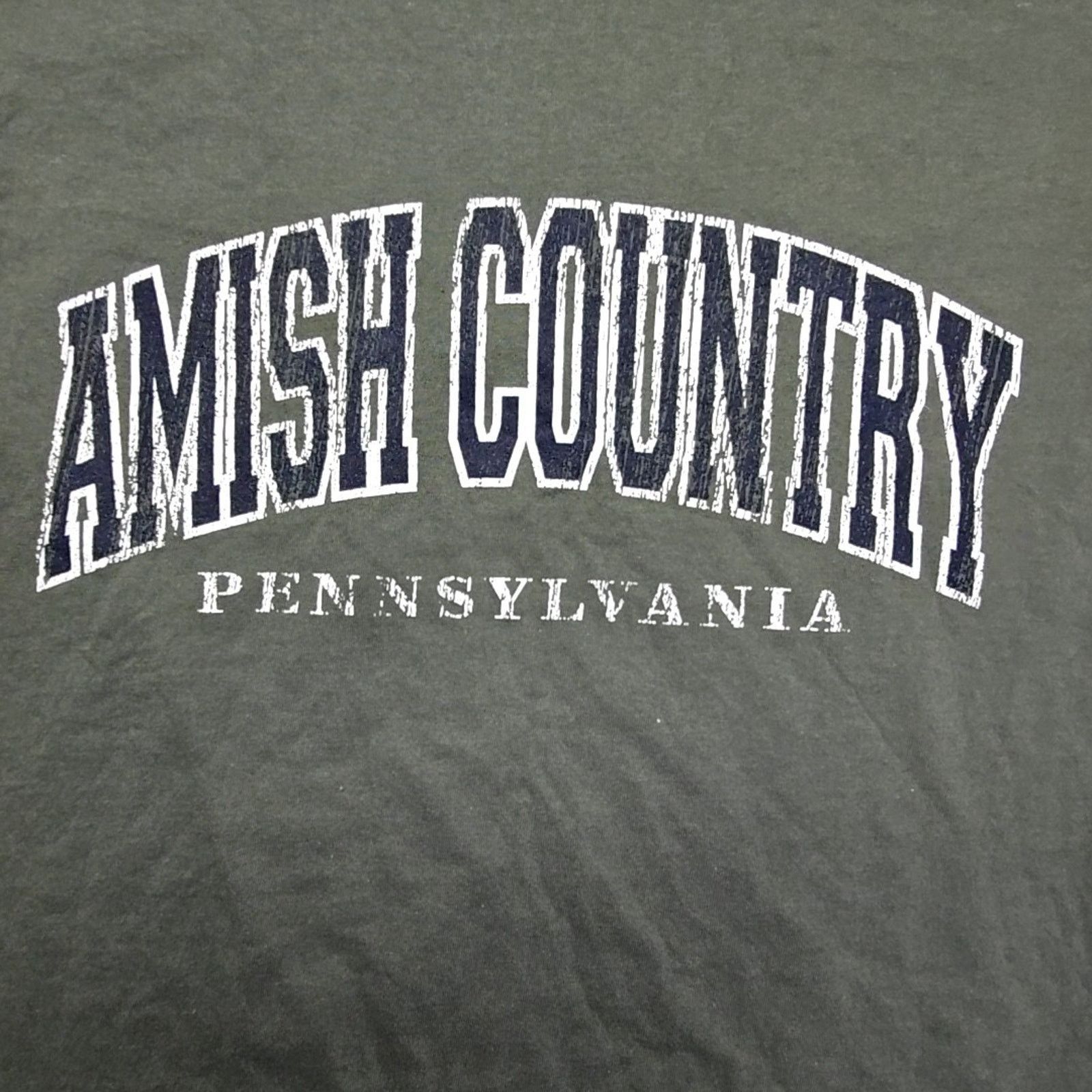Anvil Vintage Amish Country Pennsylvania Graphic Tee Green M Shirt Size US M / EU 48-50 / 2 - 2 Thumbnail