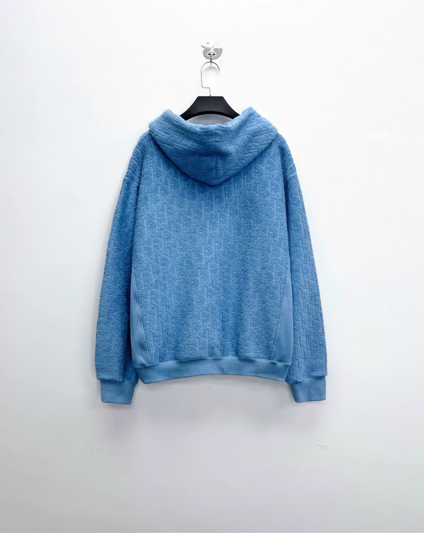 dior fw23 oblique hooded sweatshirt in blue