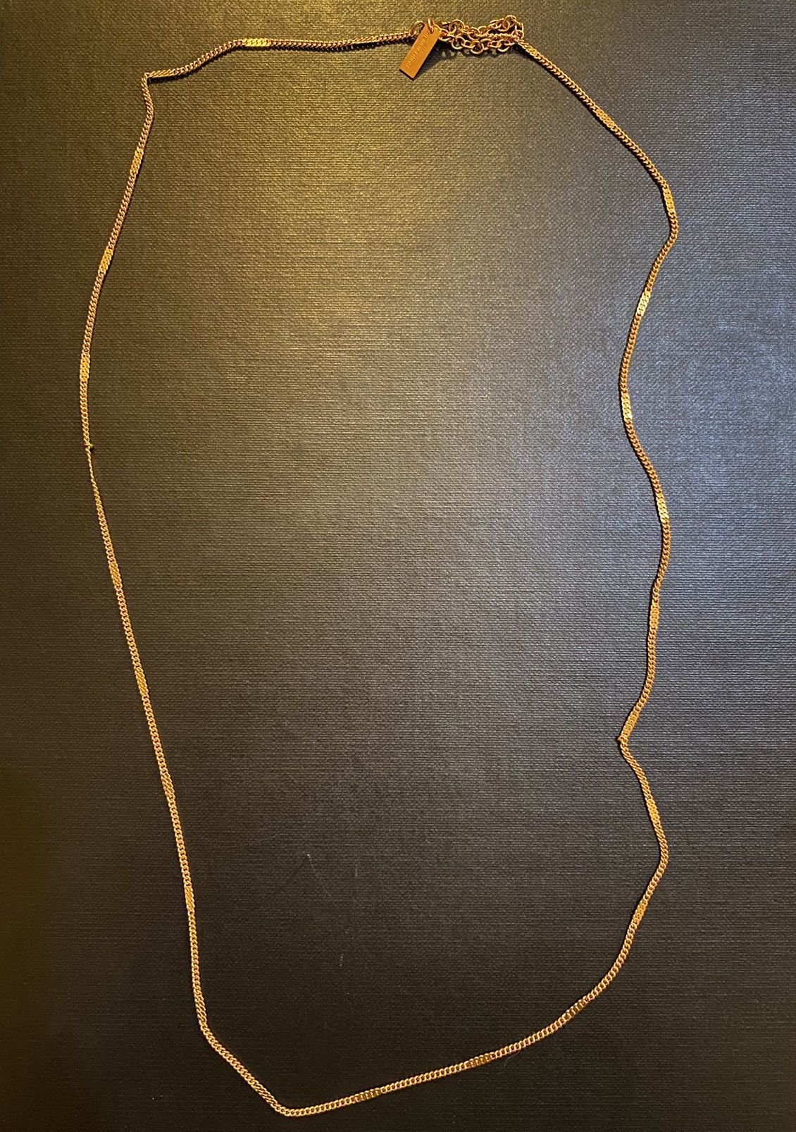 Saint Laurent Paris Saint Laurent Long Curb Chain Necklace in Metal Size ONE SIZE - 1 Thumbnail