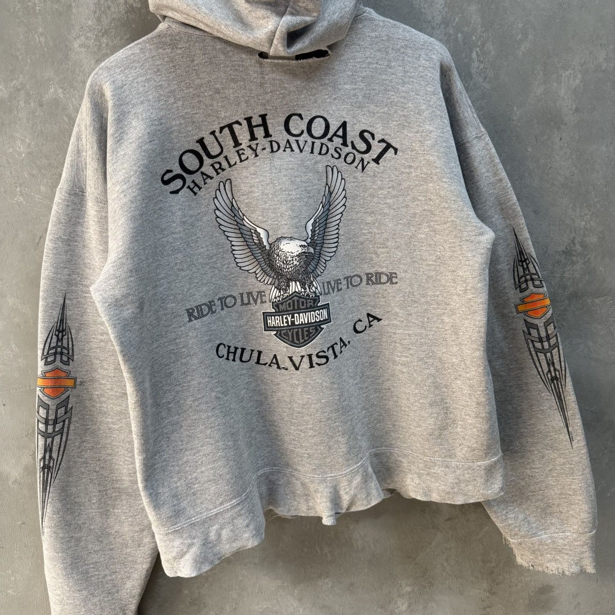 Harley Davidson Harley Davidson 00’ Tribal Zip Hoodie Distressed South Coast Size US M / EU 48-50 / 2 - 8 Thumbnail
