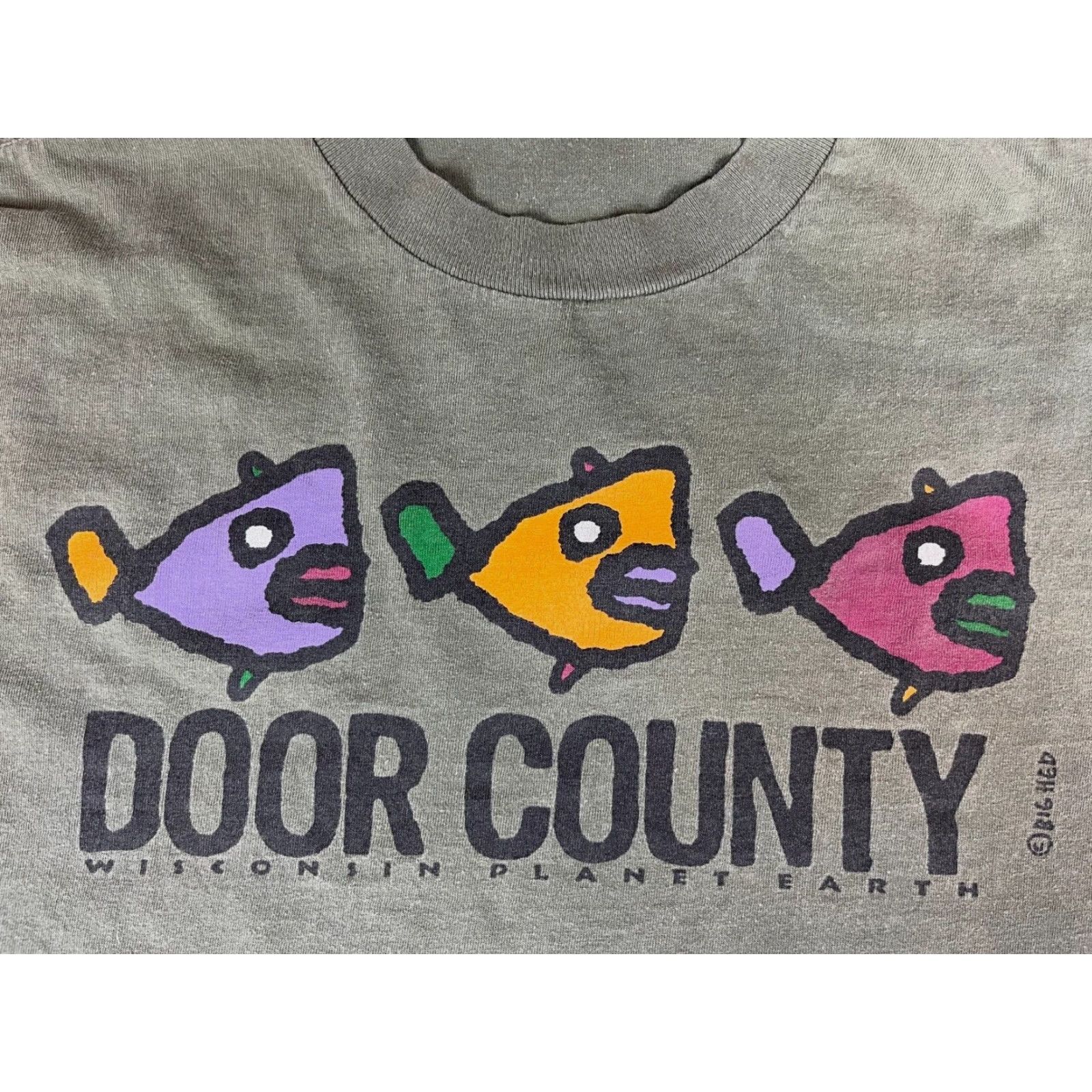 Vintage VINTAGE Men's T-Shirt Door County Wisconsin Planet Earth Crew Neck Short Sleeve Sz L Green 1990s Fish Nature Planet Earth Vintage Mens T-Shirt Size US L / EU 52-54 / 3 - 4 Thumbnail