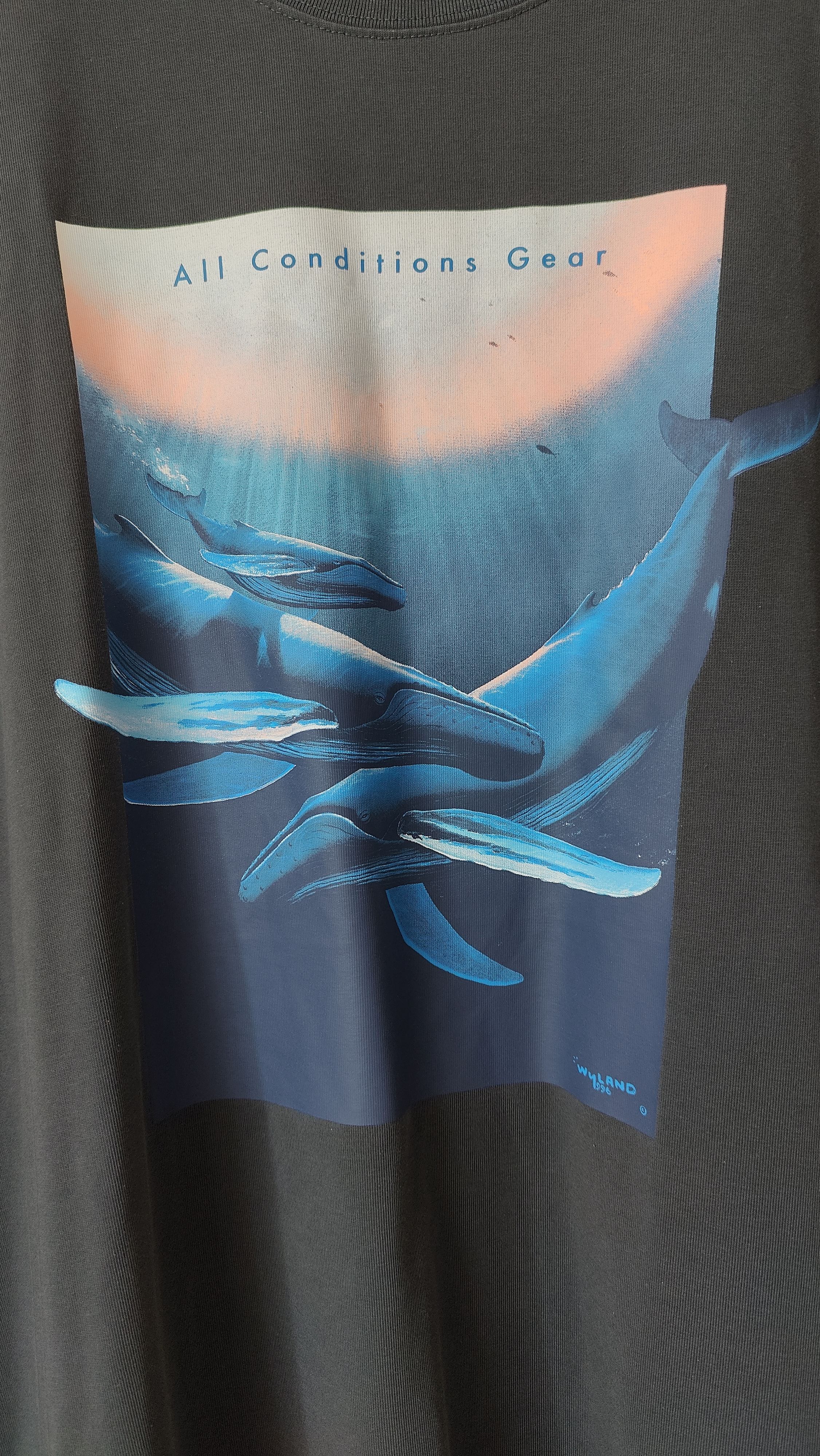 Nike Nike ACG Wyland Whales Tshirt Retro Size US XXL / EU 58 / 5 - 4 Thumbnail