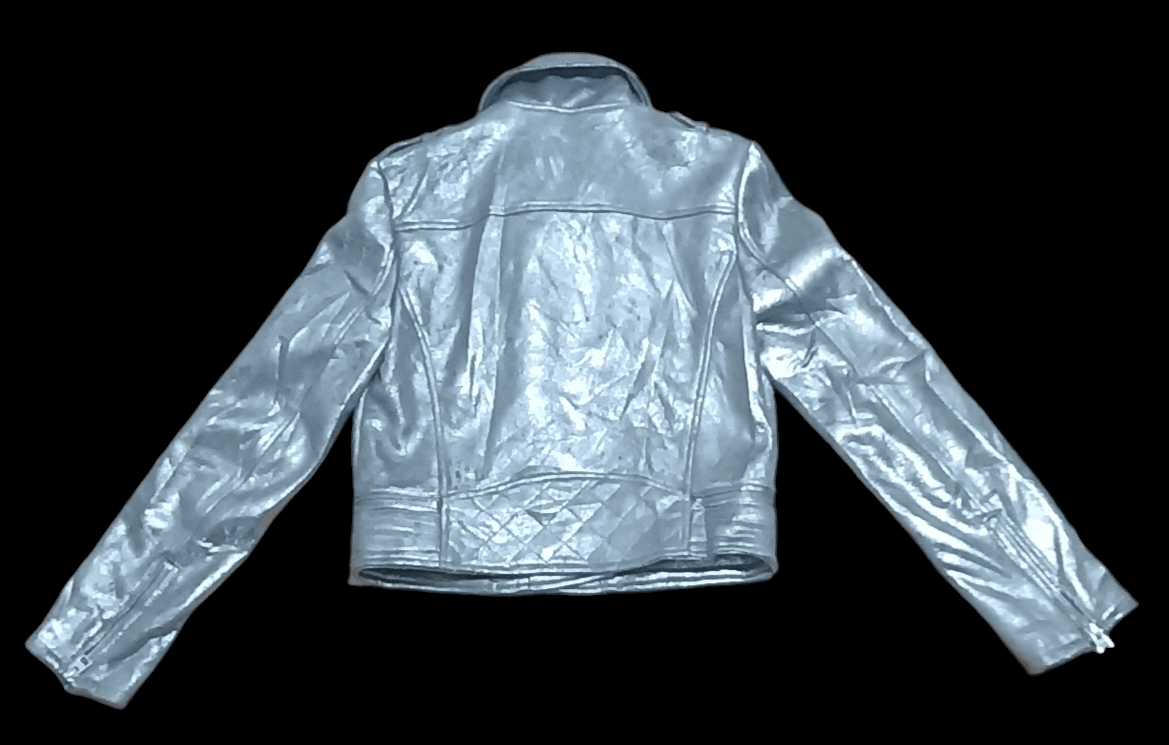 Zara ZARA DOUBLE COLLAR CYBERPUNK SILVER CHROME JACKET Size S / US 4 / IT 40 - 5 Thumbnail